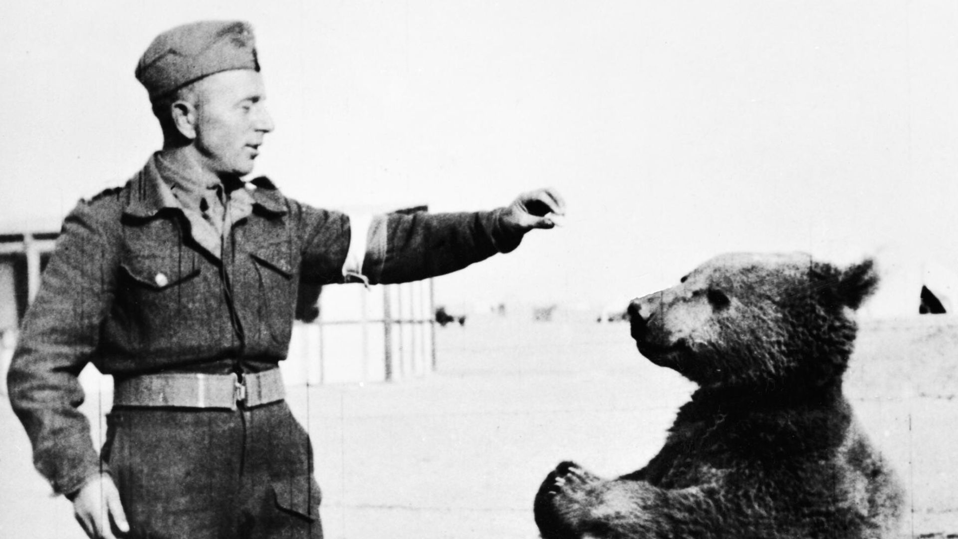 5. Wojtek