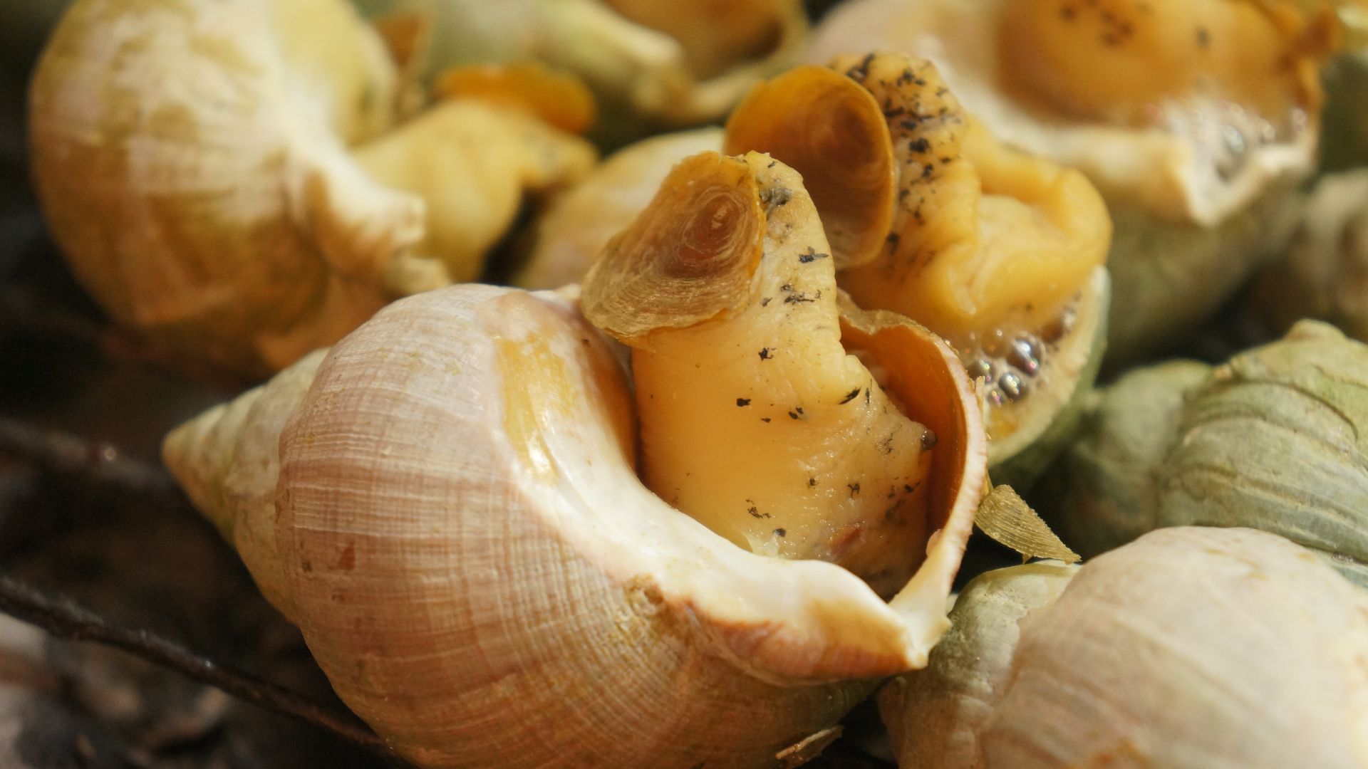 13. Escargot