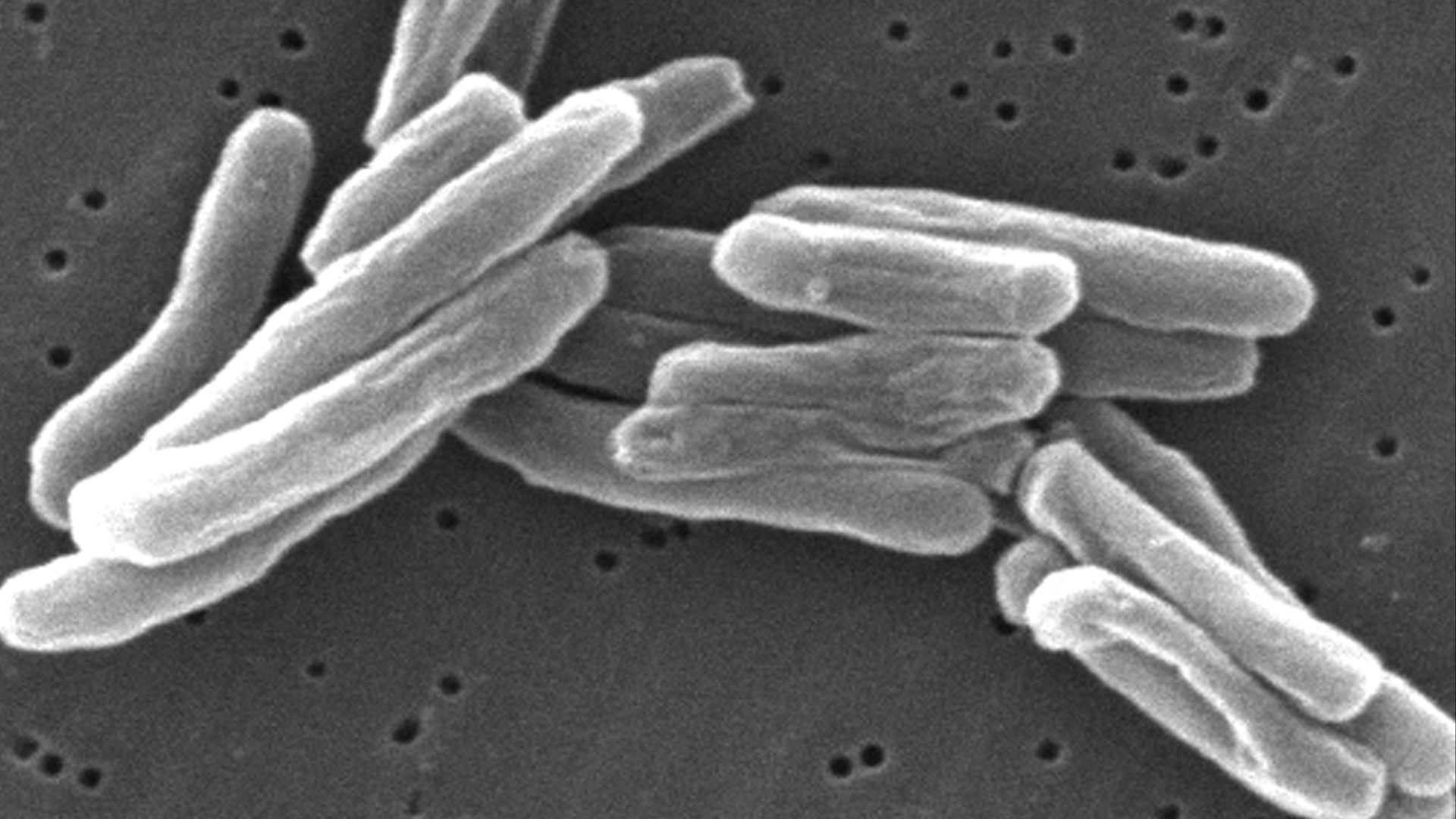 16. La créosote contre la toux et la tuberculose
