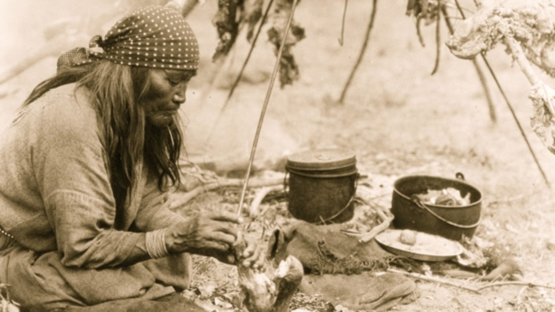 16. Mélanges de pemmican
