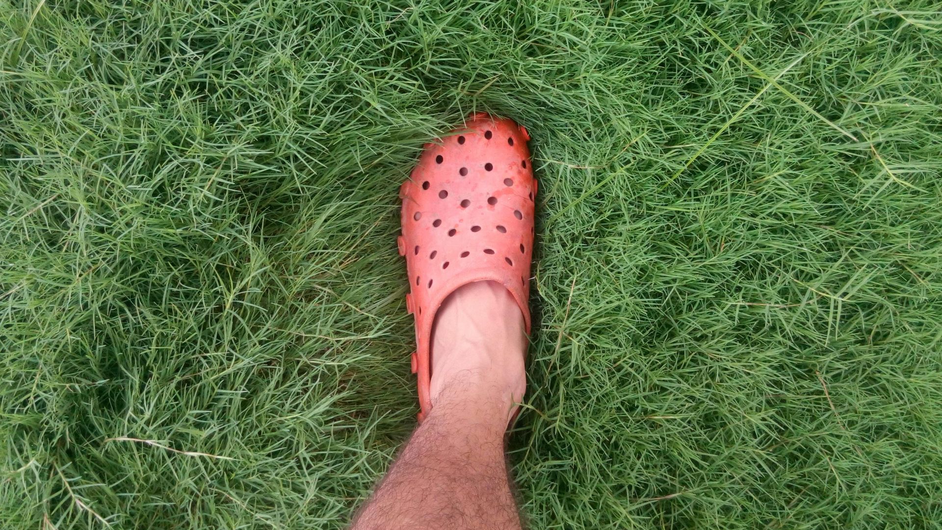 10. Vêtements de sport