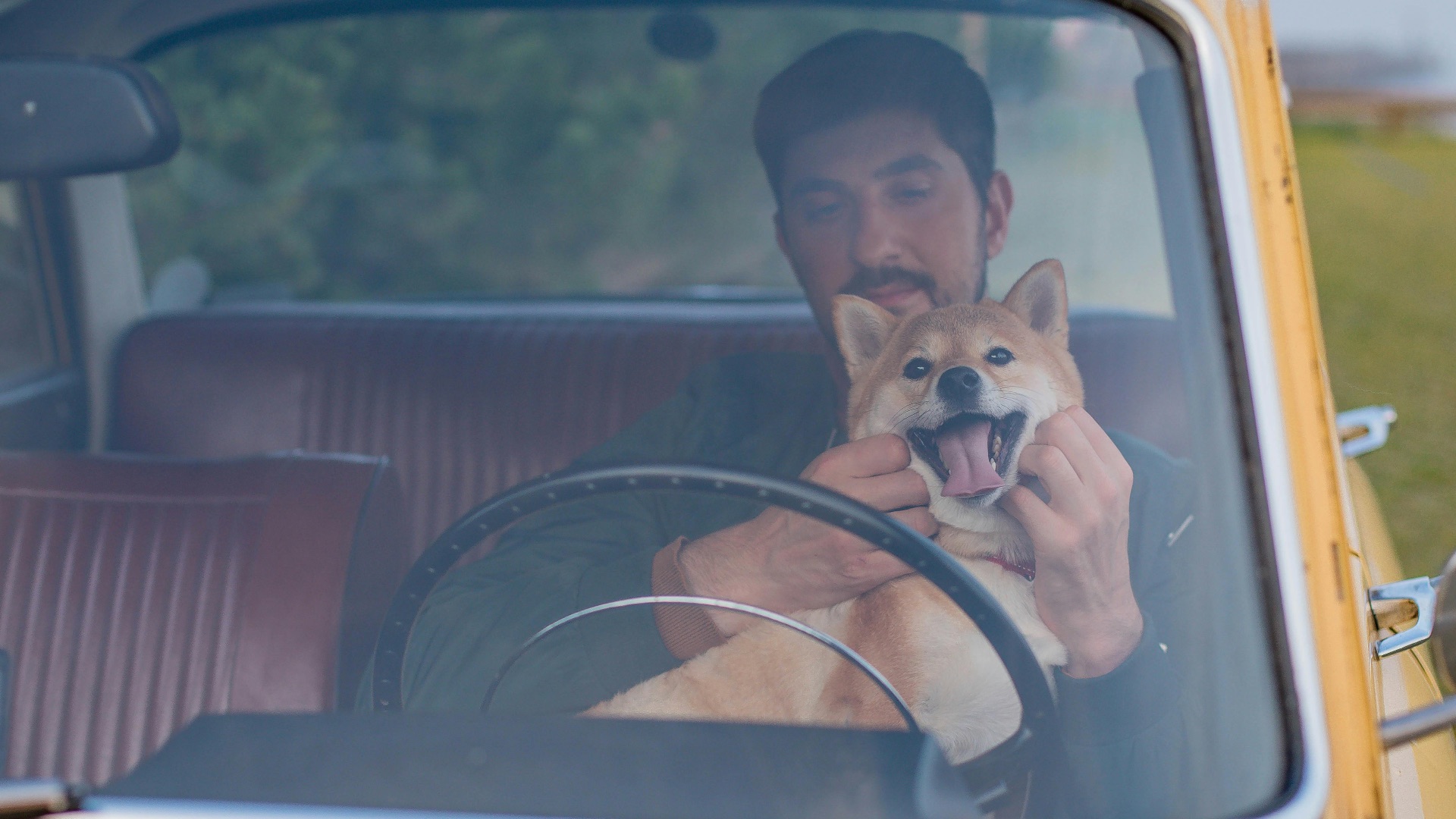 1. Les animaux de compagnie peuvent être source de distraction
