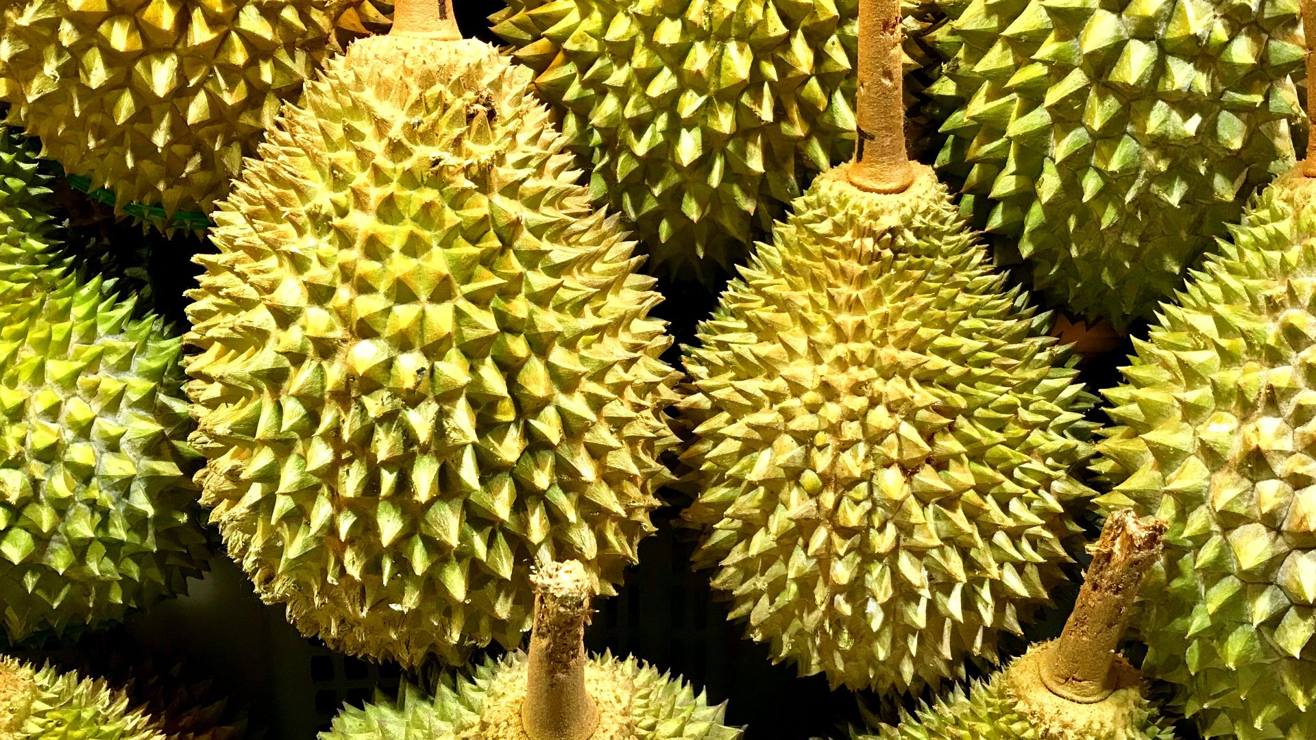 11. Durian