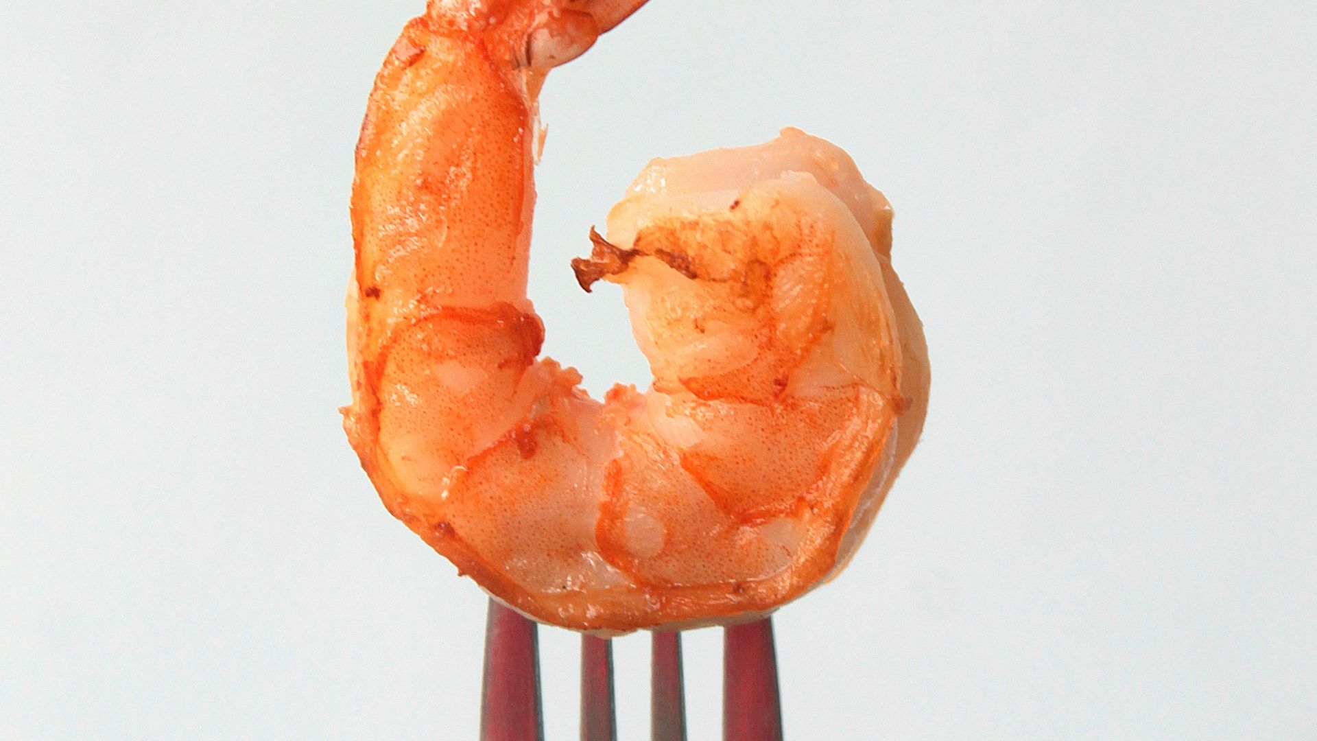 1. Crevettes