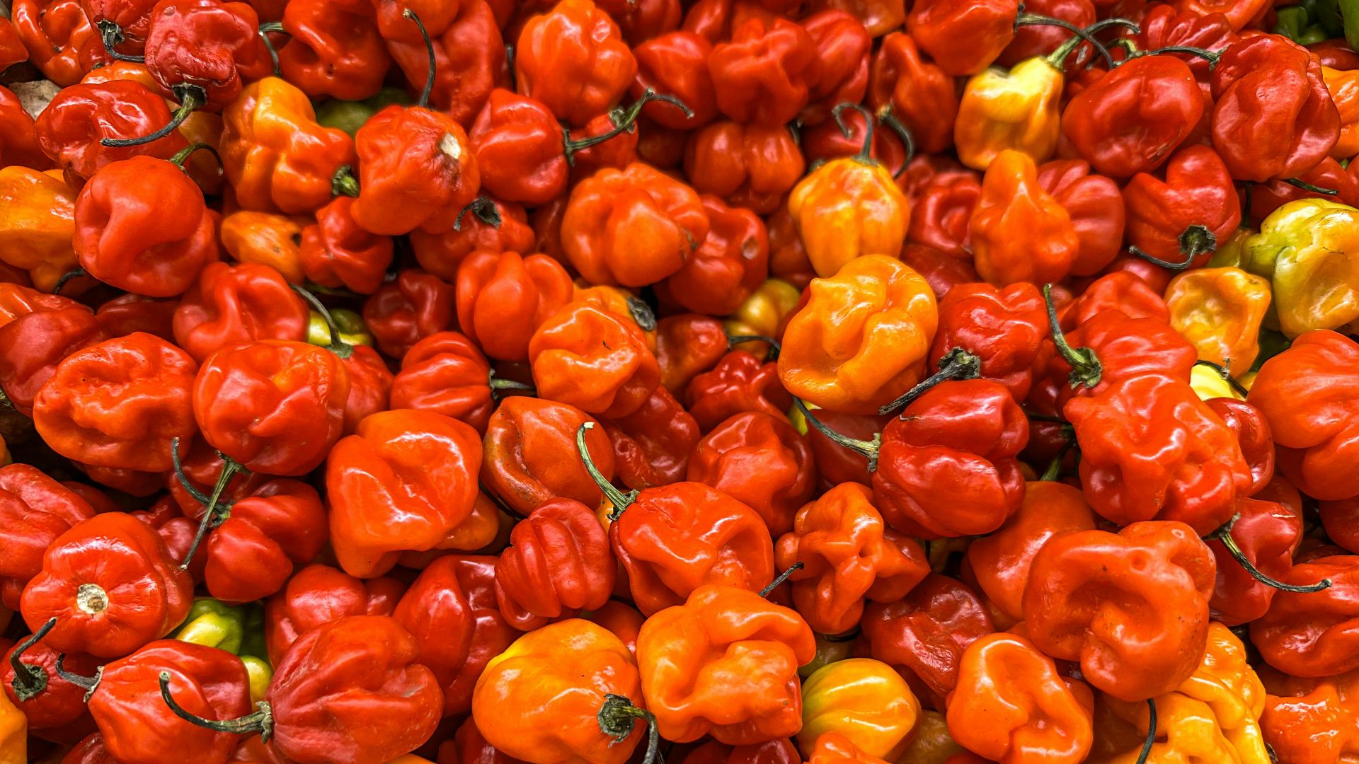 3. Piments Scotch Bonnet