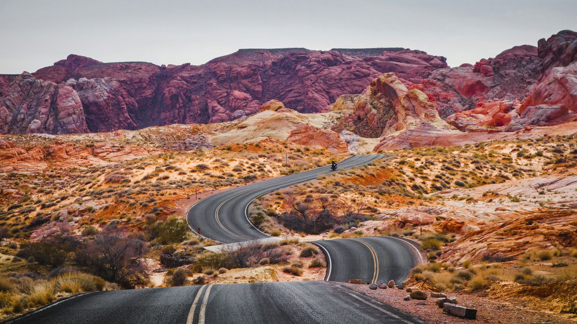 4. Ils ne sont pas adaptés aux routes accidentées