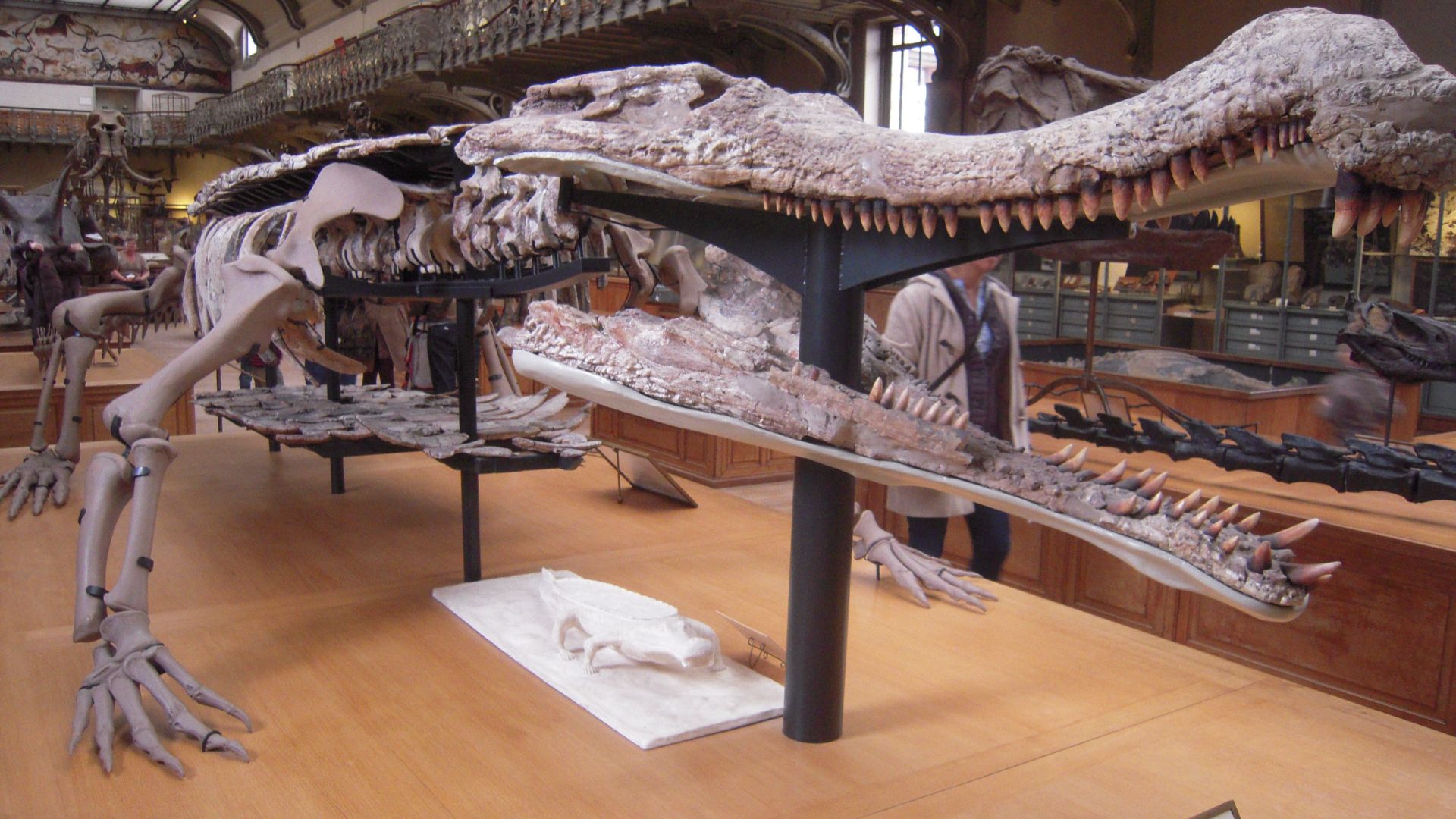 14. Sarcosuchus