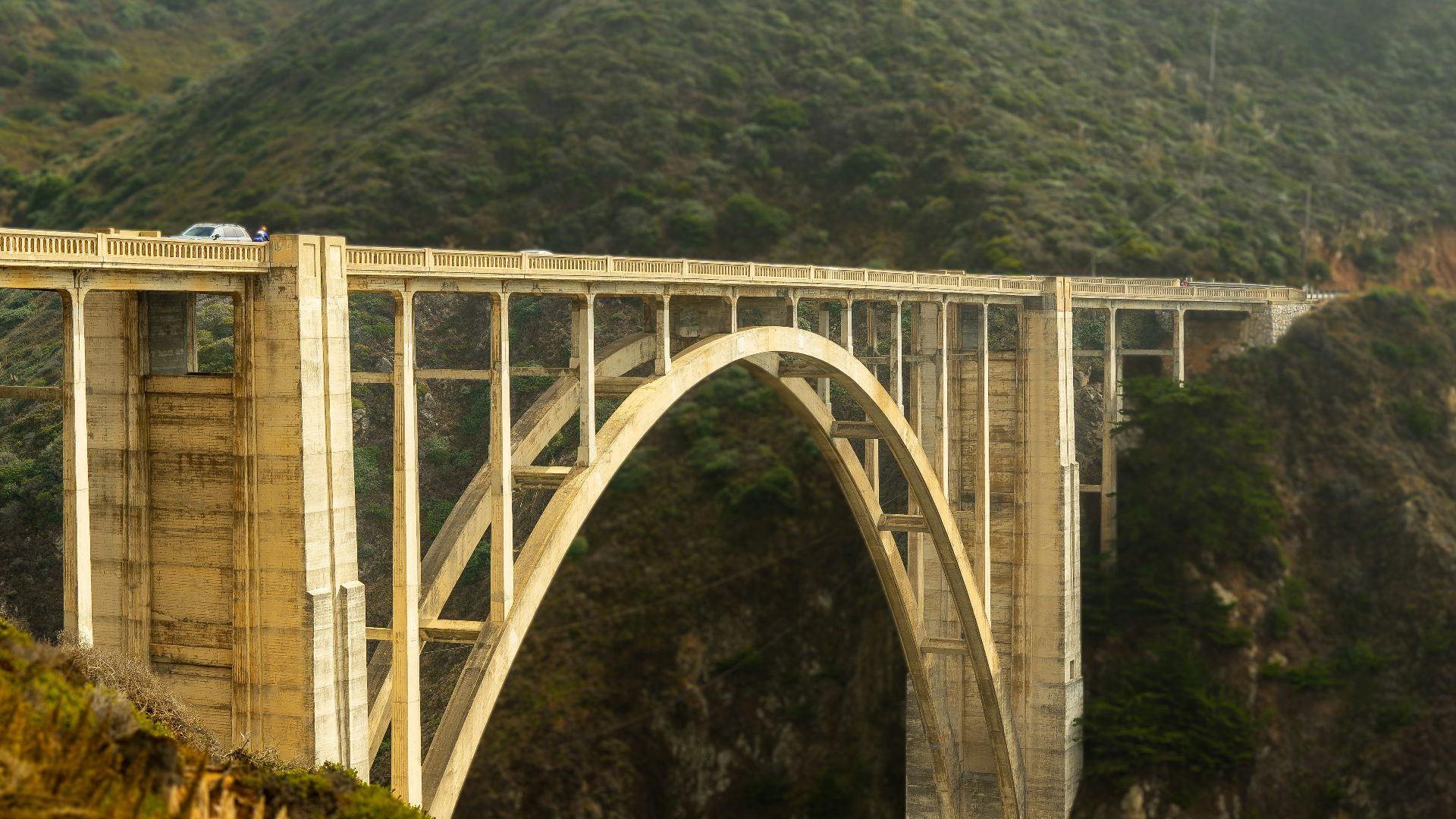 7. Un pont routier baptisé « Jane Doe » en hommage à une avancée majeure en génétique