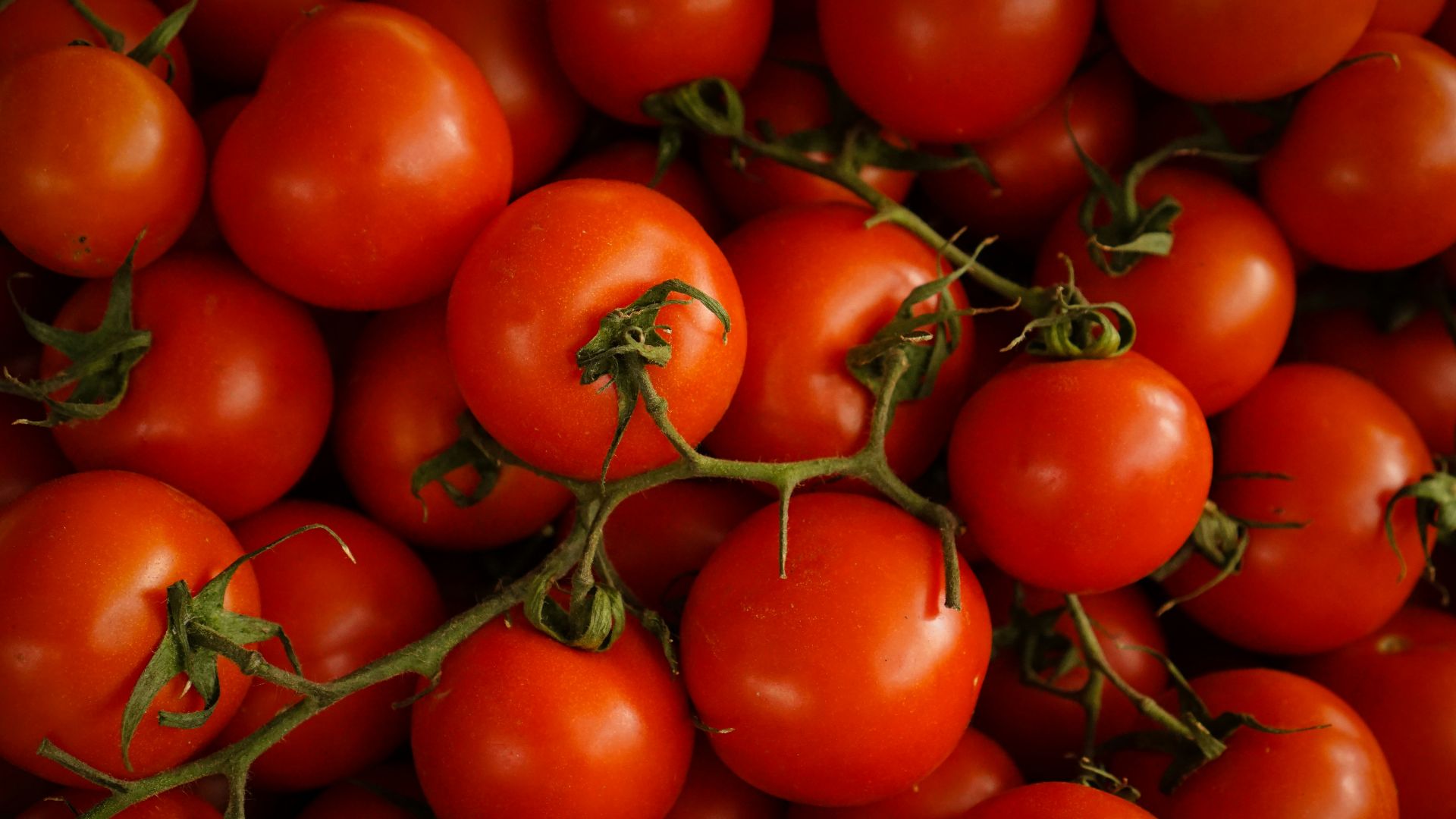 6. Tomates
