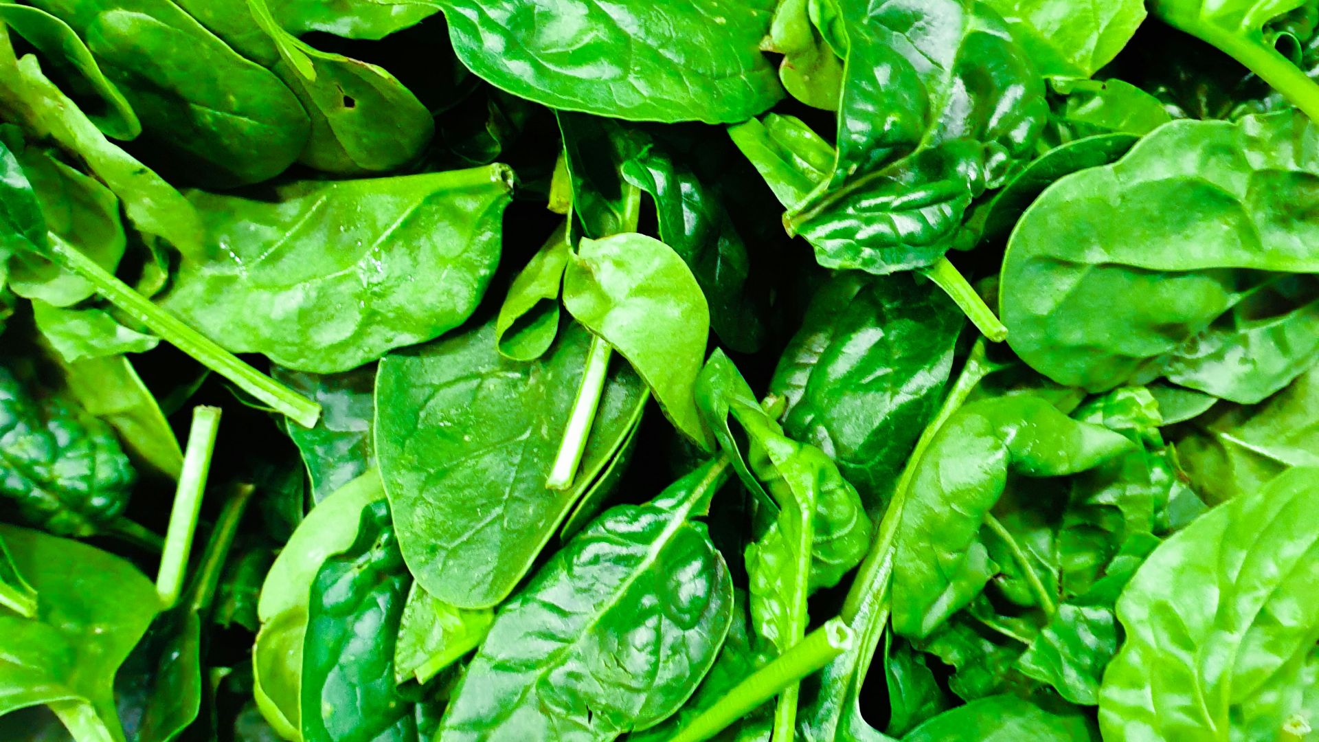 7. Légumes verts à feuilles