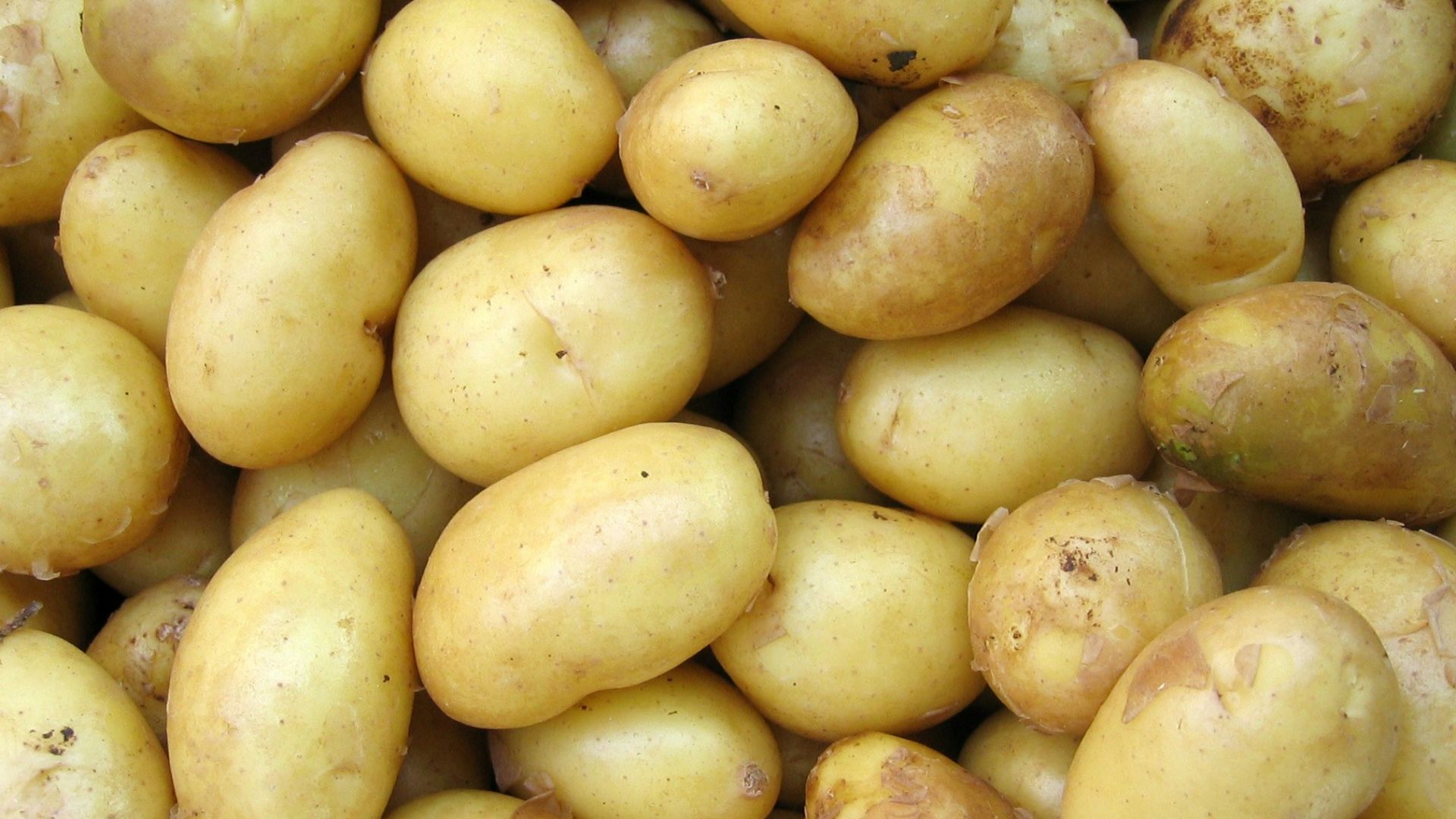12. Petites pommes de terre rôties