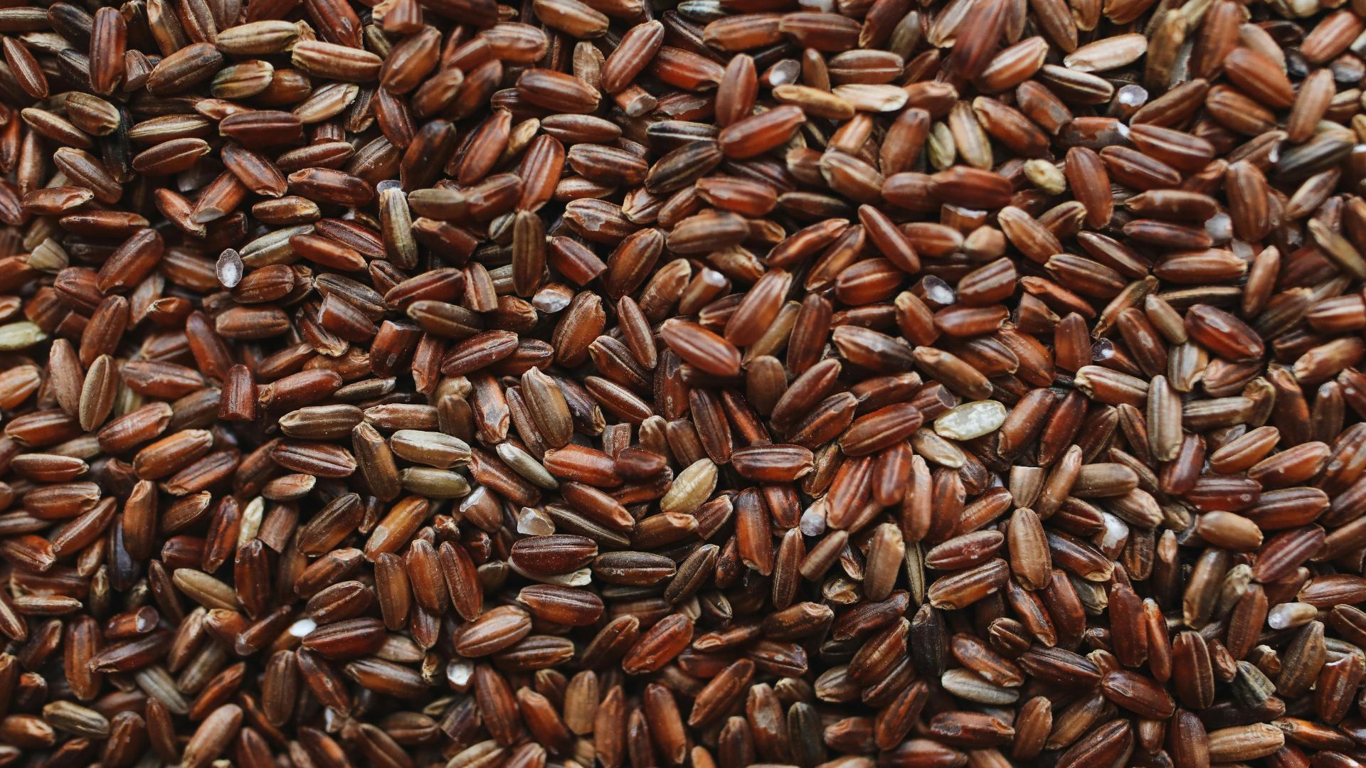 10. Riz complet