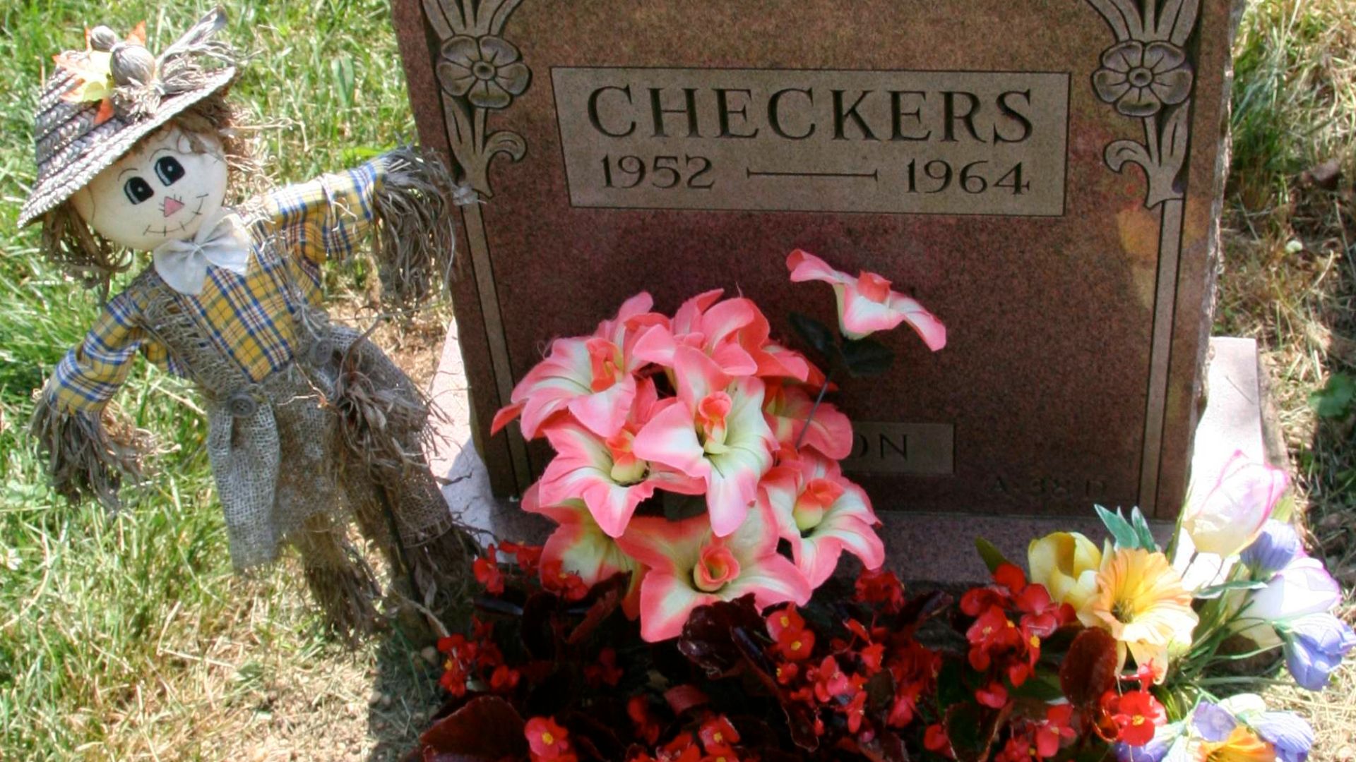 18. Checkers, le chien dans le discours de Nixon