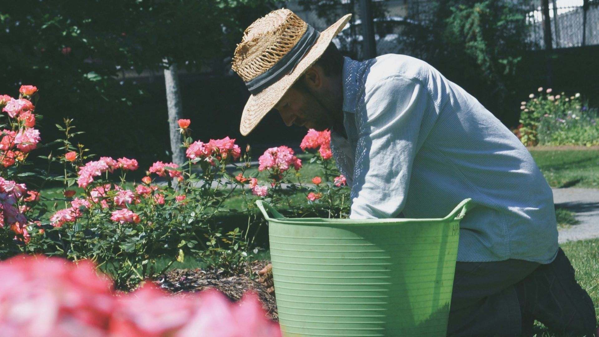 1. Les centenaires ont tendance à rester physiquement actifs