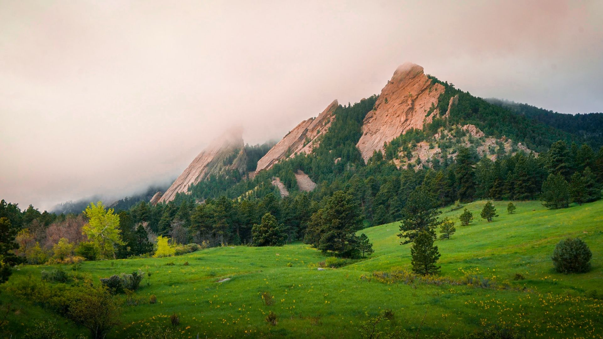 11. Visite guidée de l'usine de thé Celestial Seasonings à Boulder, dans le Colorado