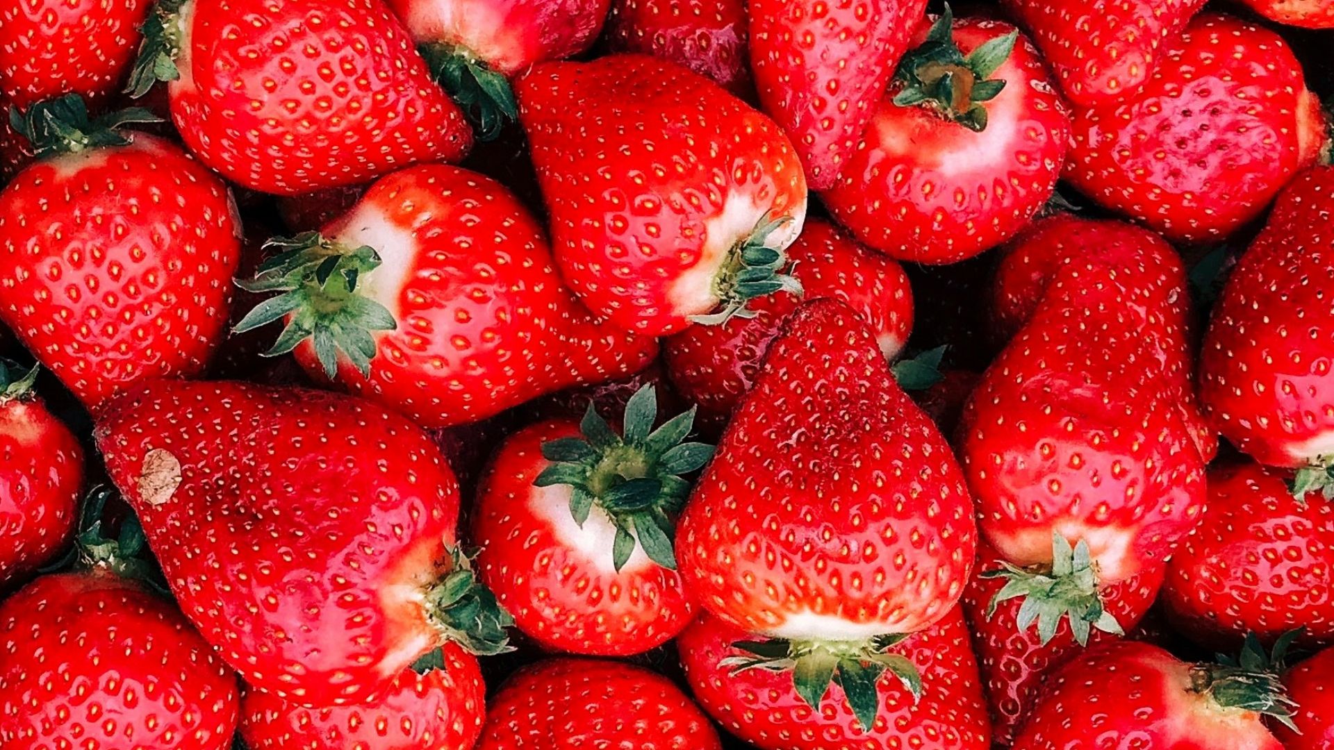 10. Fraises des prés