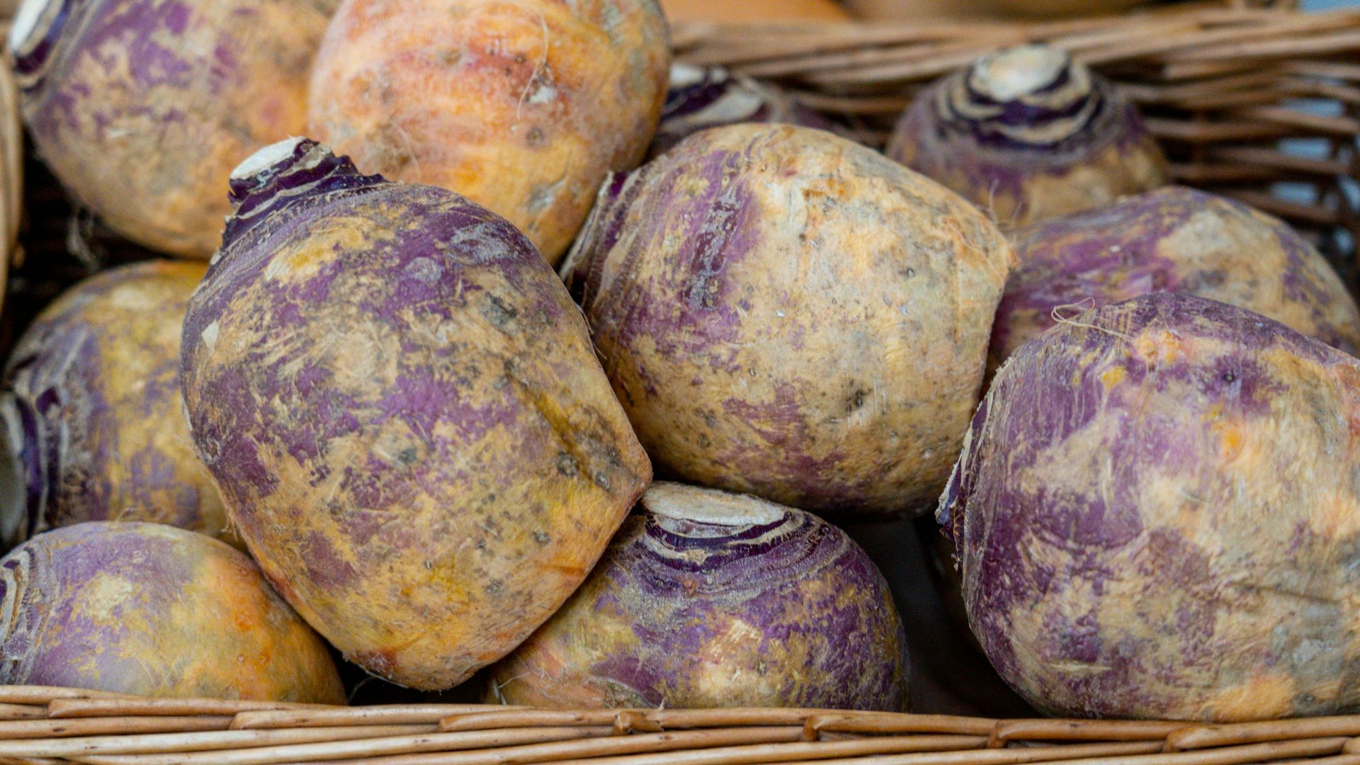 2. Rutabaga