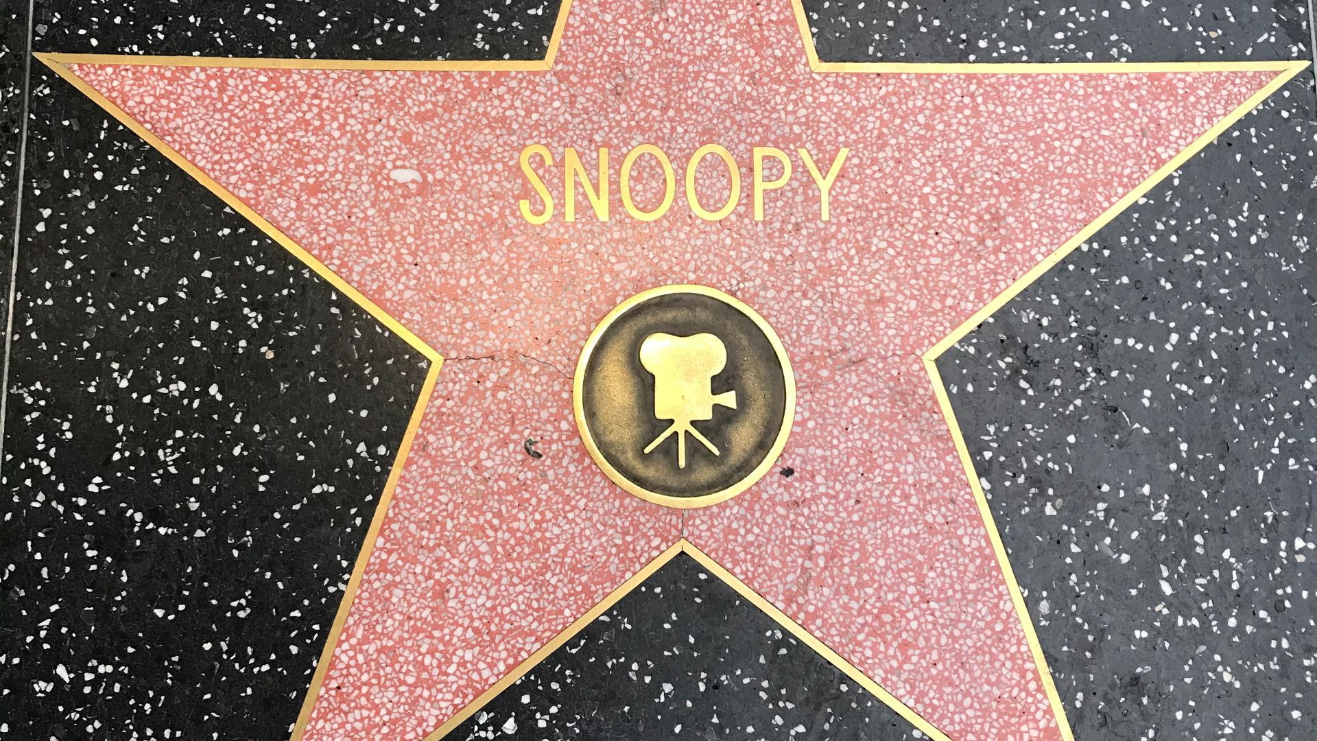 17. Il a une étoile sur le Walk of Fame d'Hollywood
