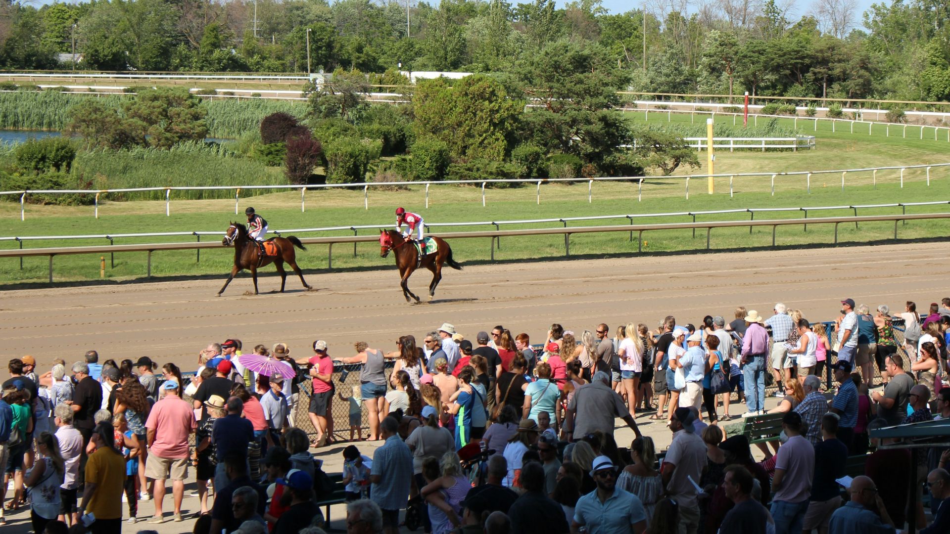 16. La « surprise » de 1980 au Kentucky Derby