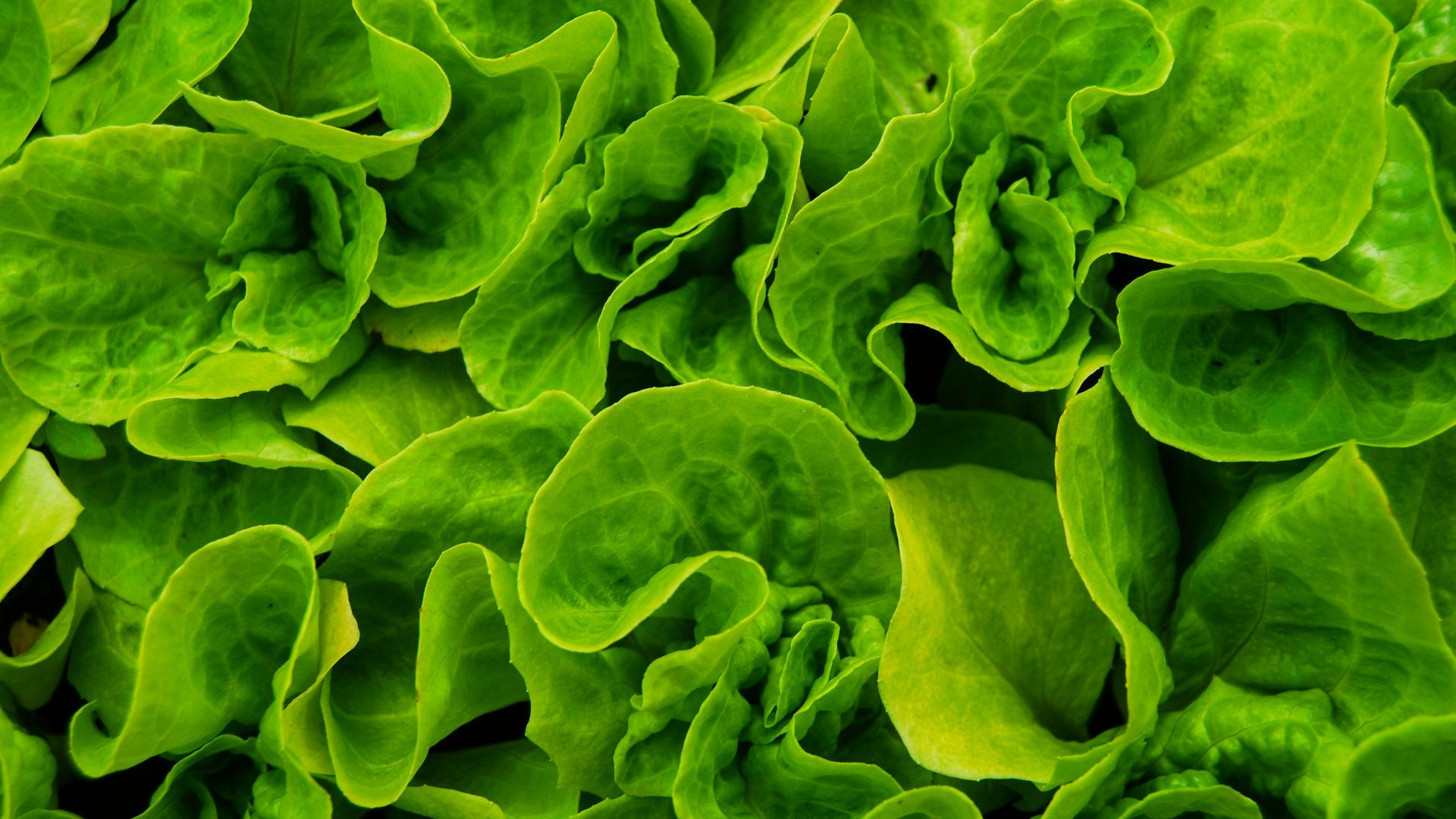 15. Protégez vos os grâce à des aliments riches en calcium