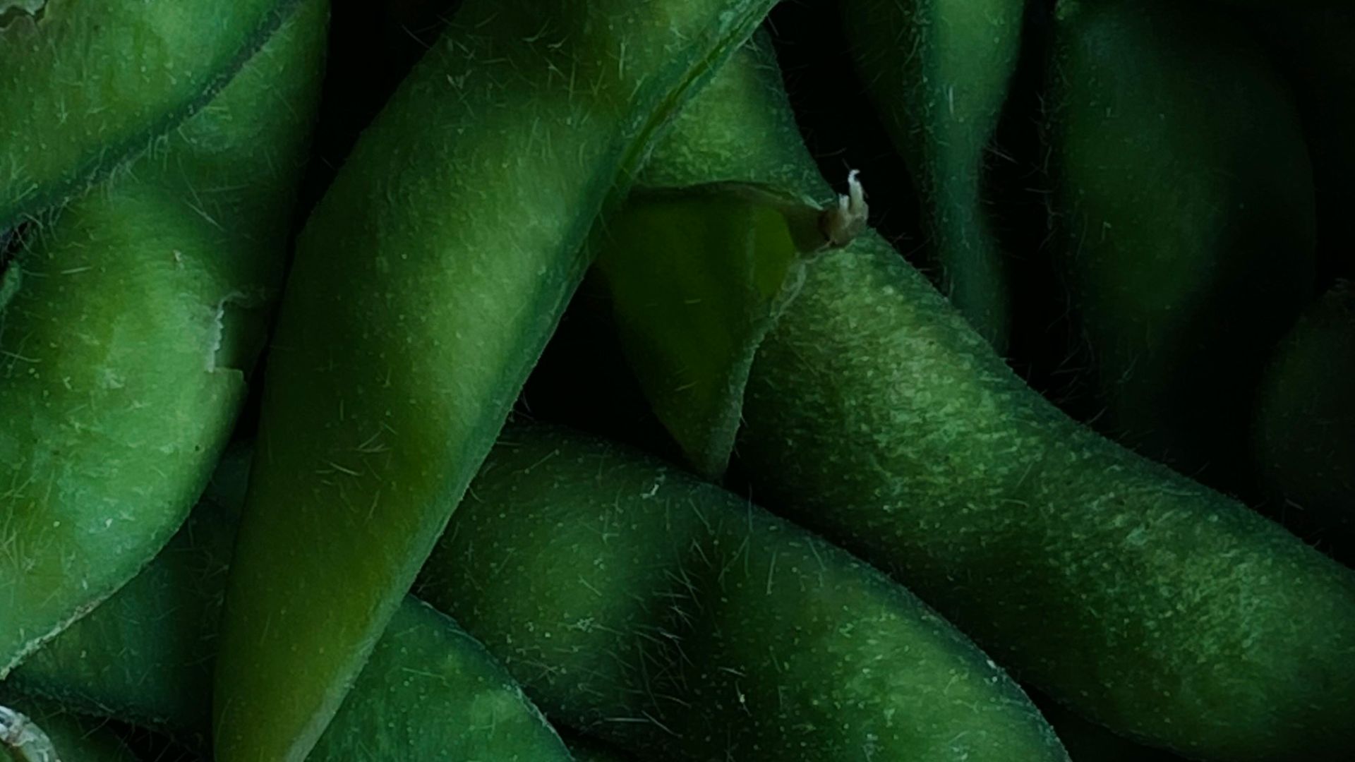 5. Edamame surgelés