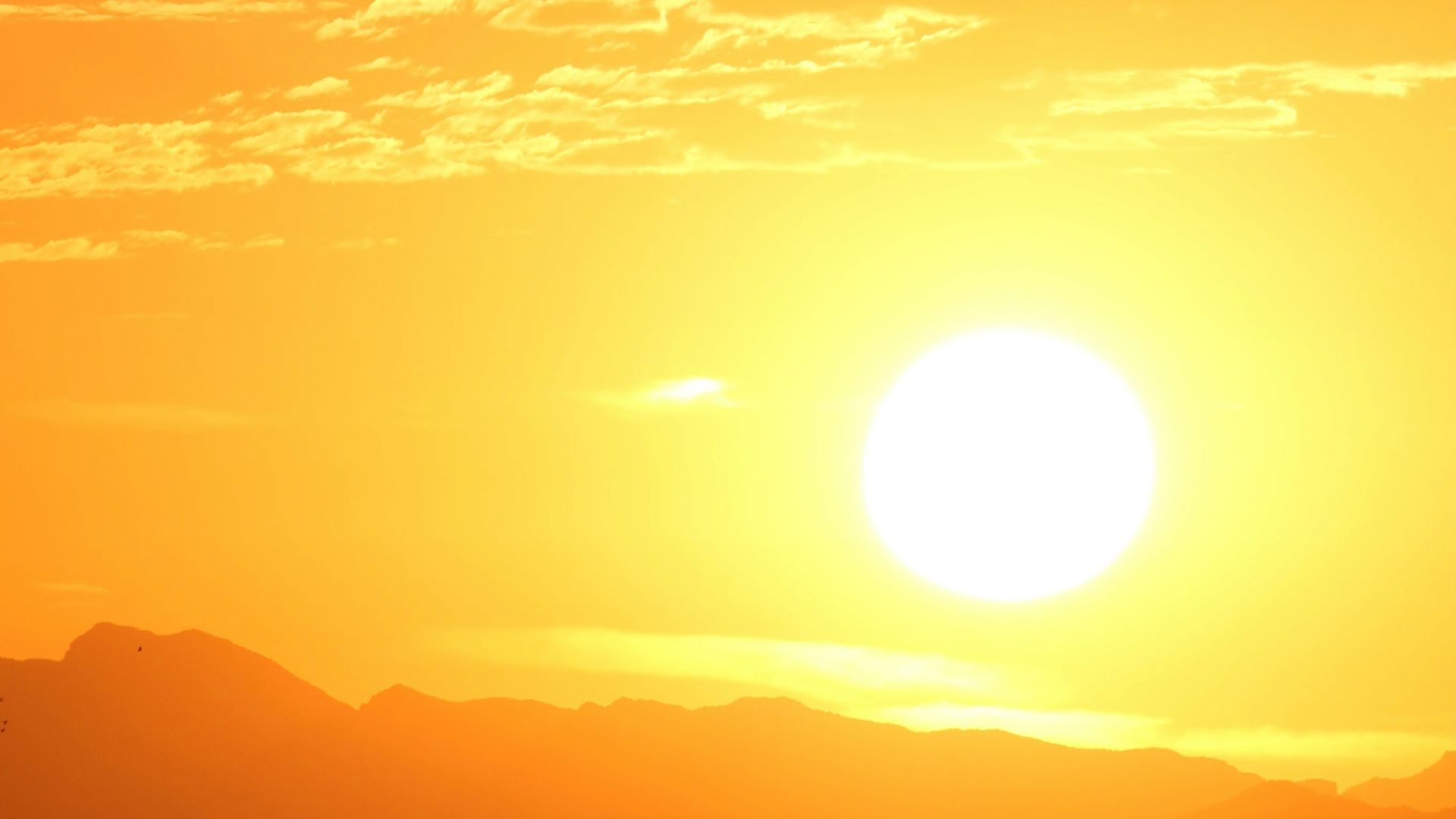 5. Vous ne vous exposez pas autant au soleil que vous le pensez