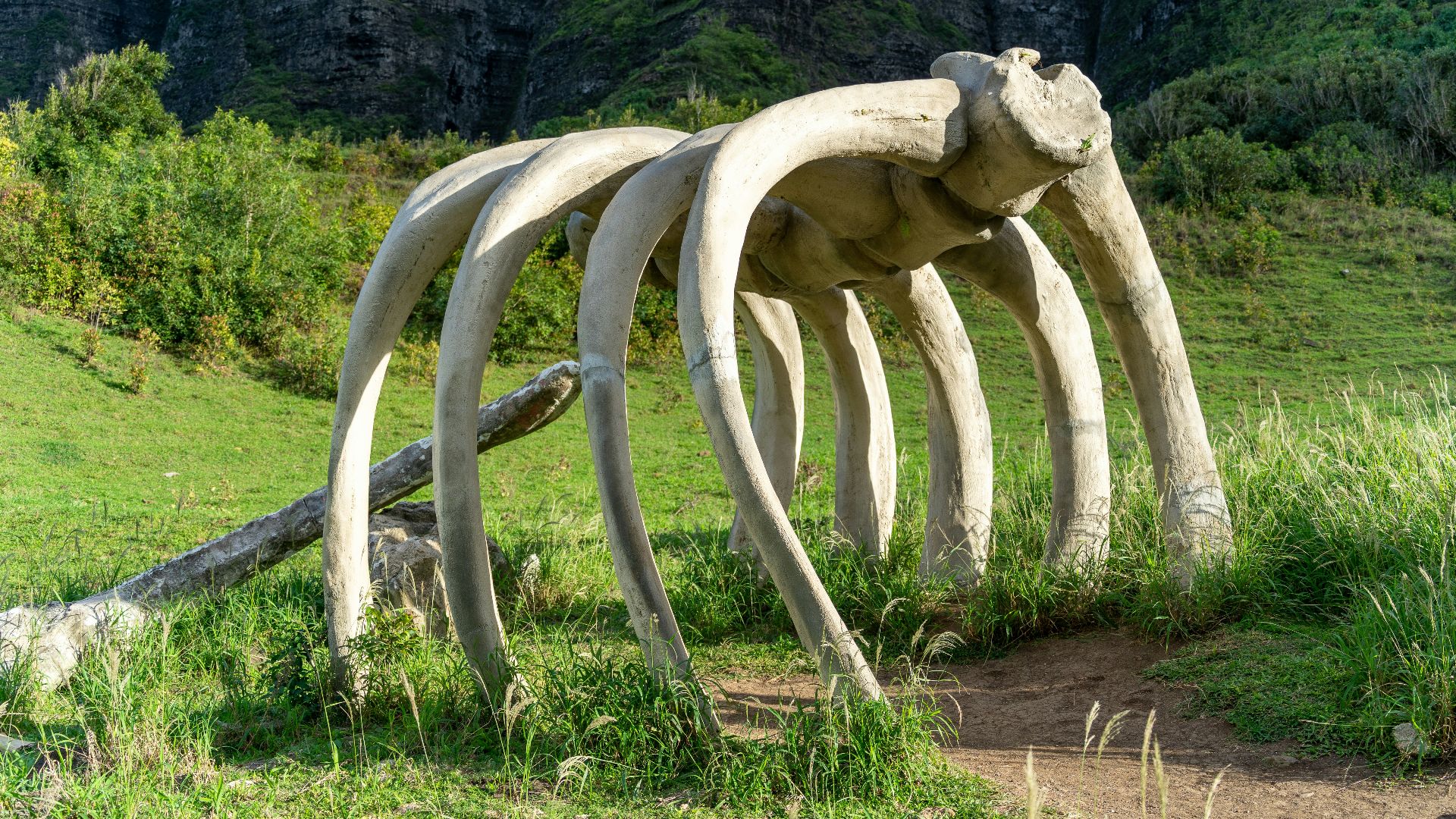 10. Les os de mammouths servaient à construire des abris