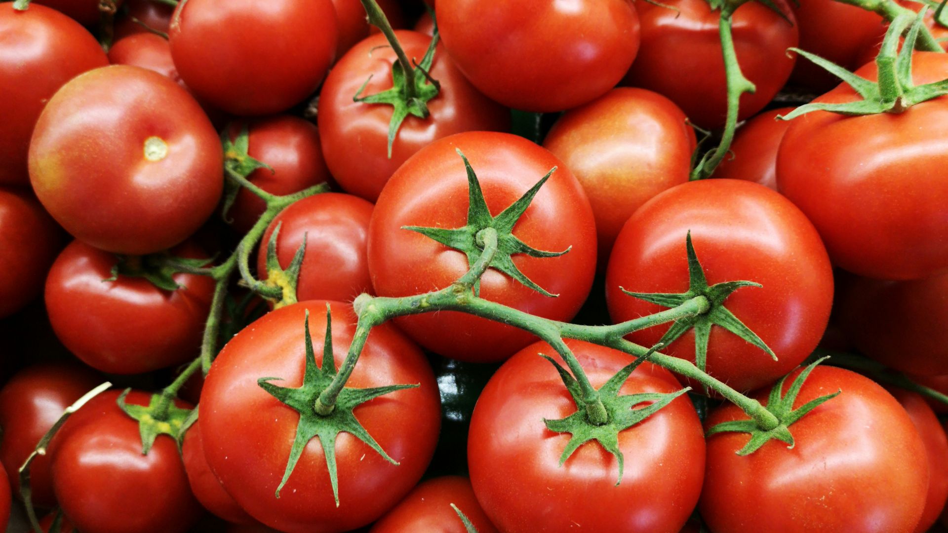 15. Tomates
