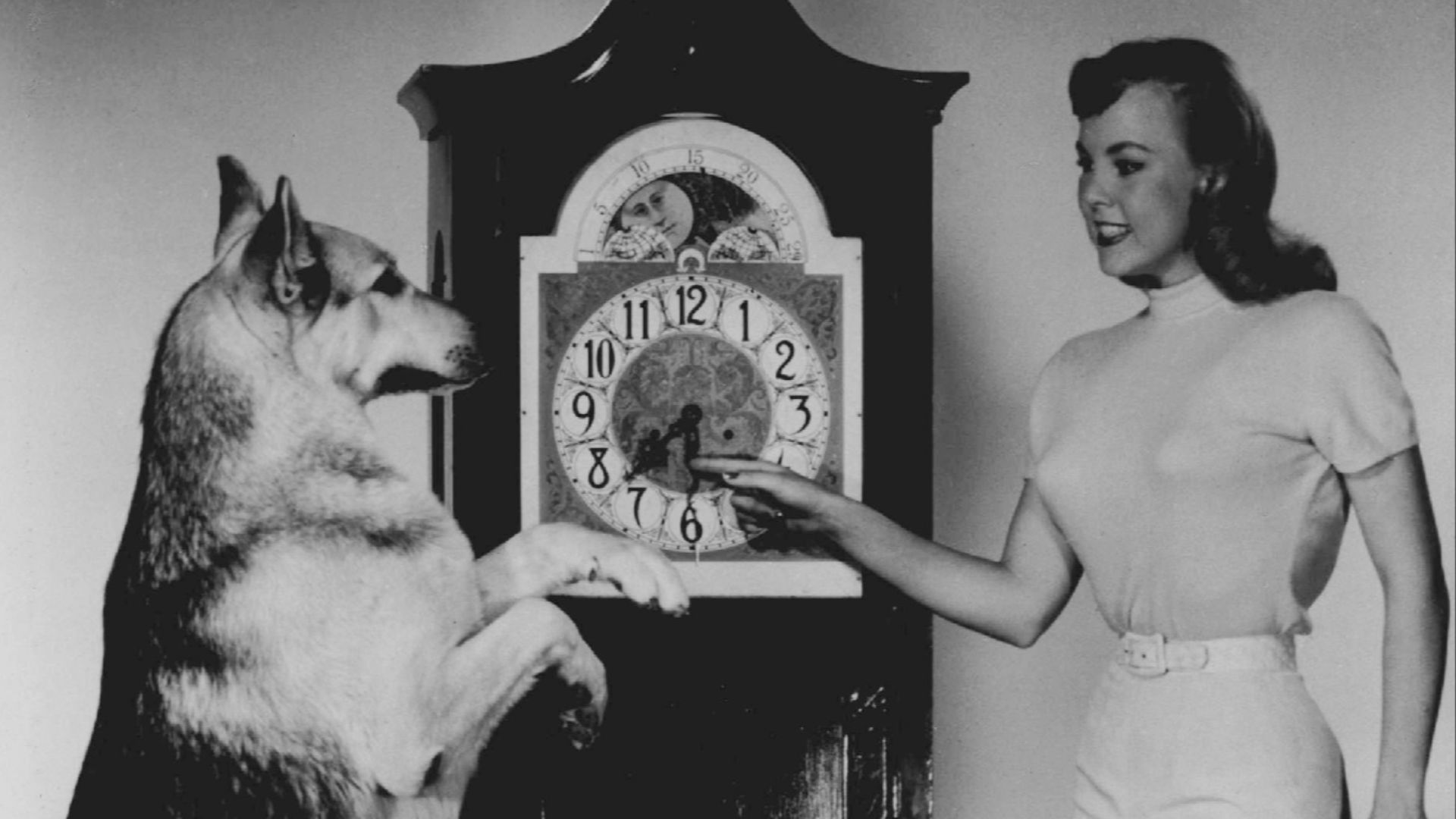 14. Rin Tin Tin, la petite star de cinéma