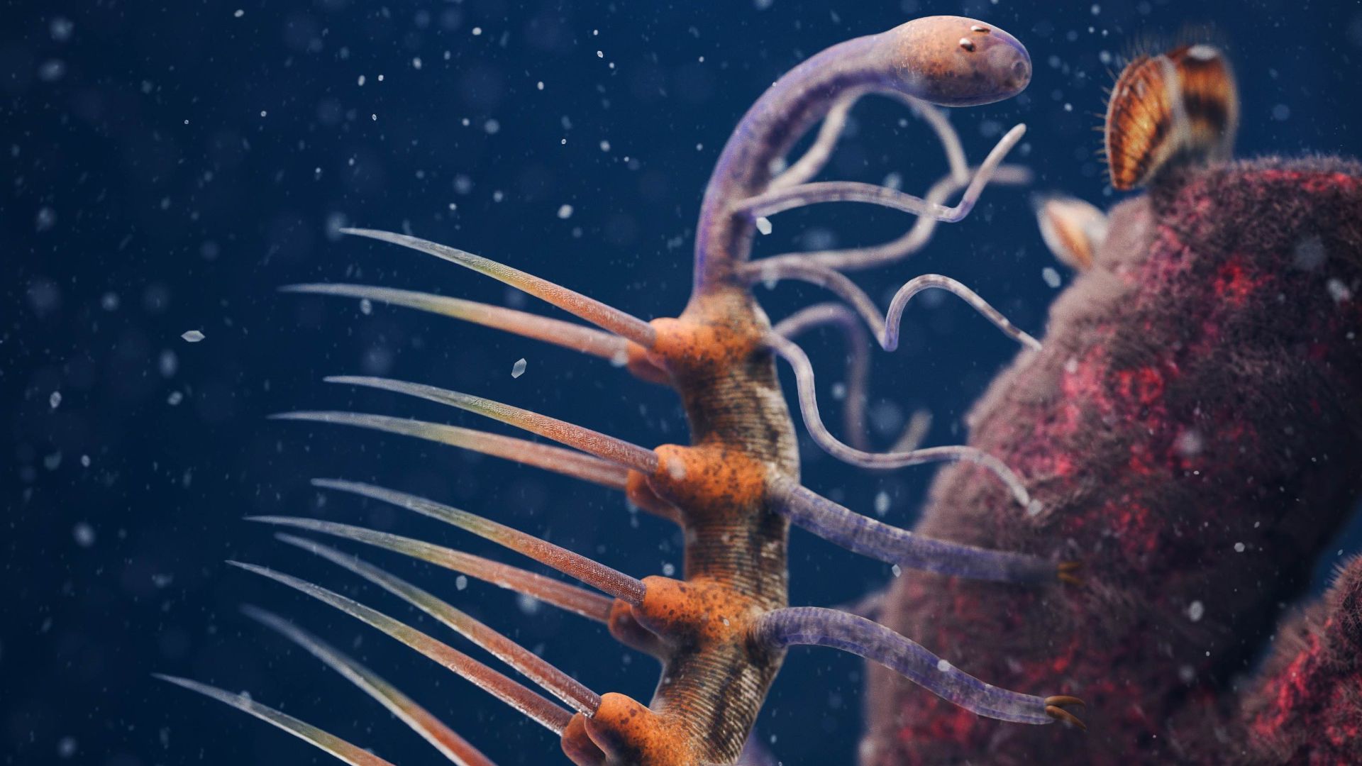4. Hallucigenia