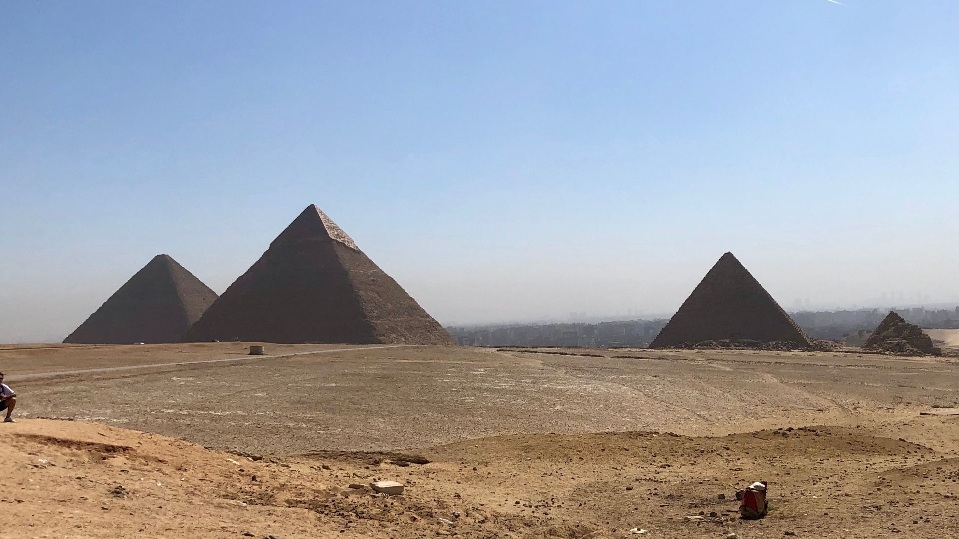 14. Les mammouths existaient encore à l'époque de la construction des pyramides