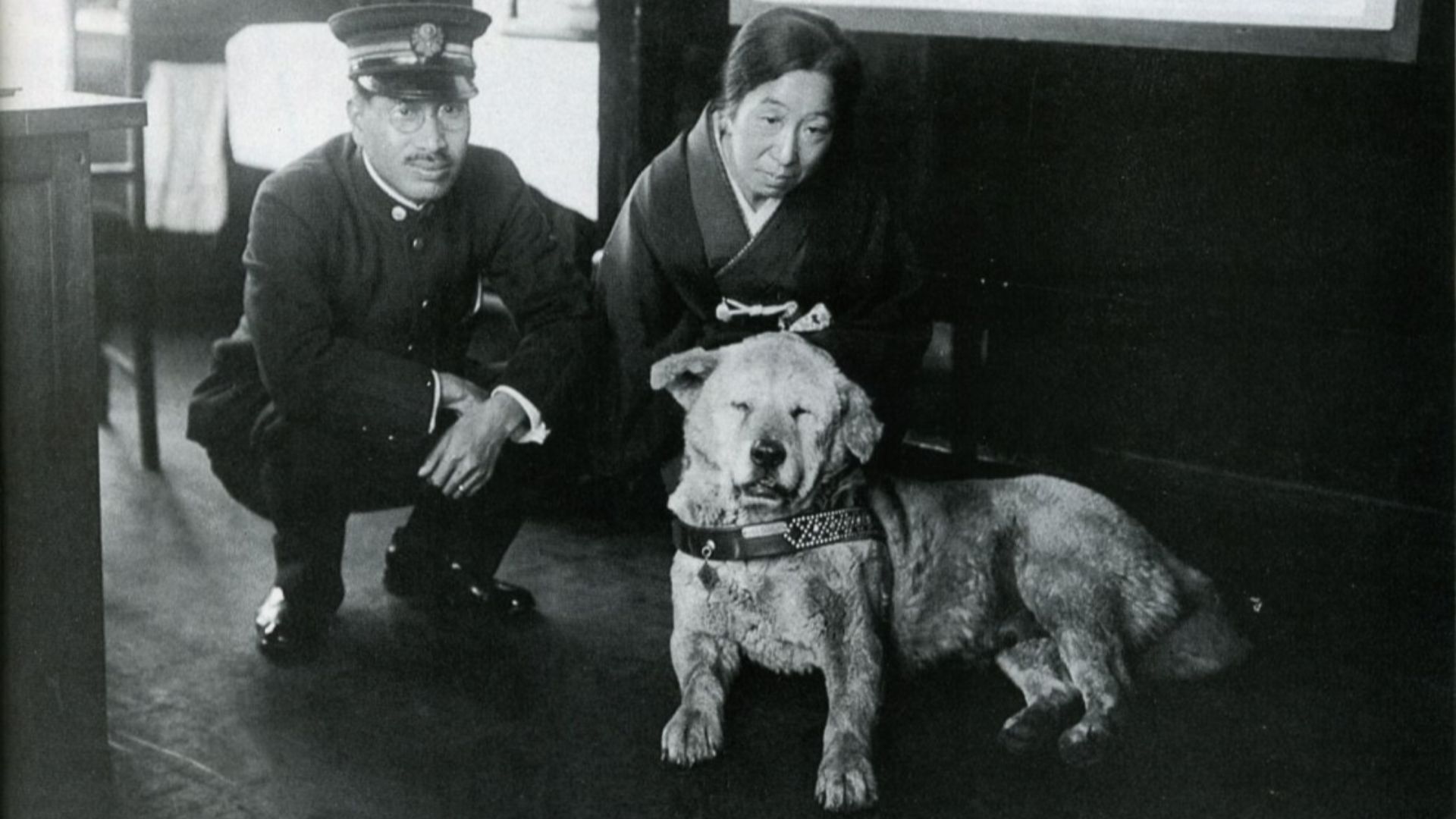 11. Hachikō, symbole japonais de la loyauté