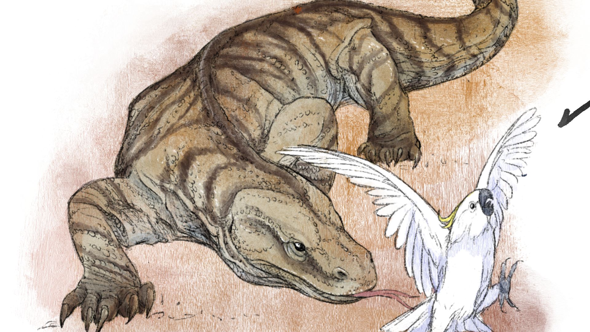 17. Megalania