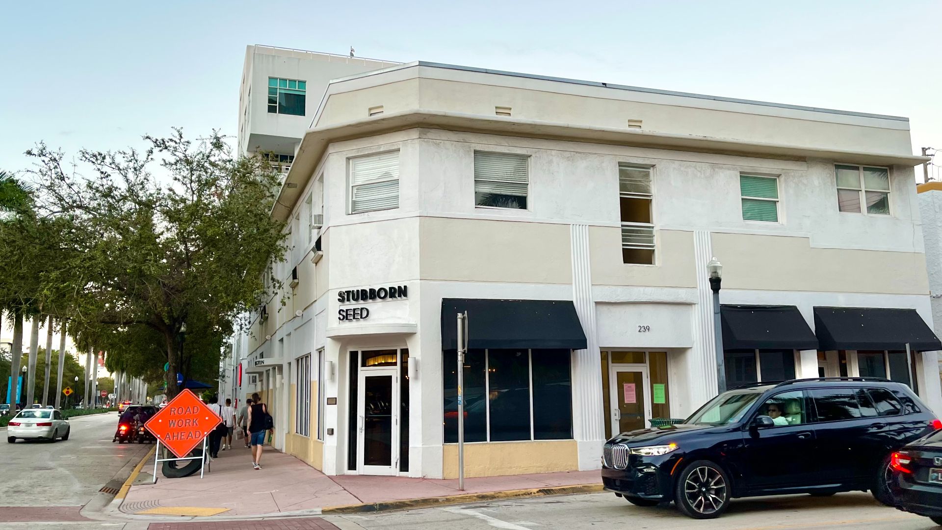 9. Une graine tenace à Miami Beach, en Floride