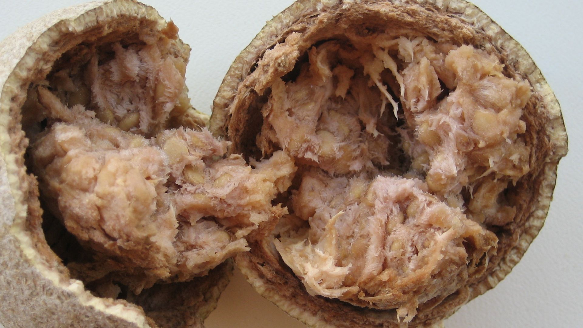 14. Pomme de bois