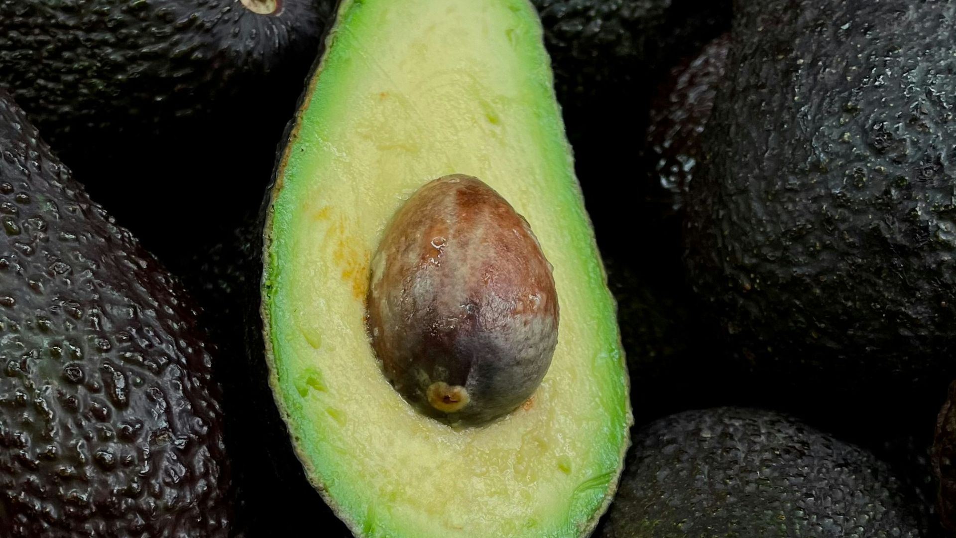 14. Pâtes à tartiner à base de beurre → Avocat