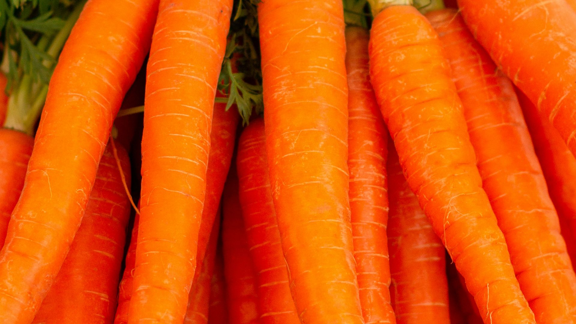 2. Carottes entières cuites à la vapeur