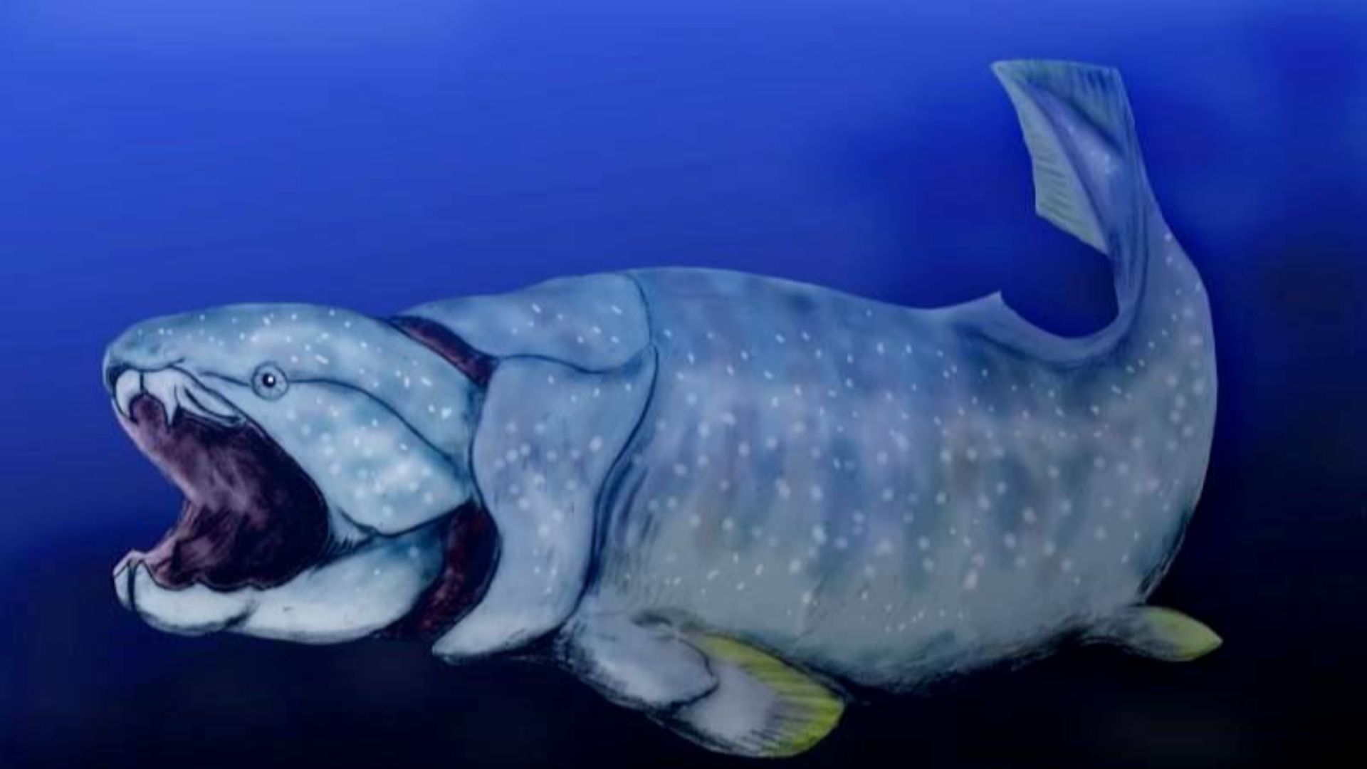 3. Dunkleosteus
