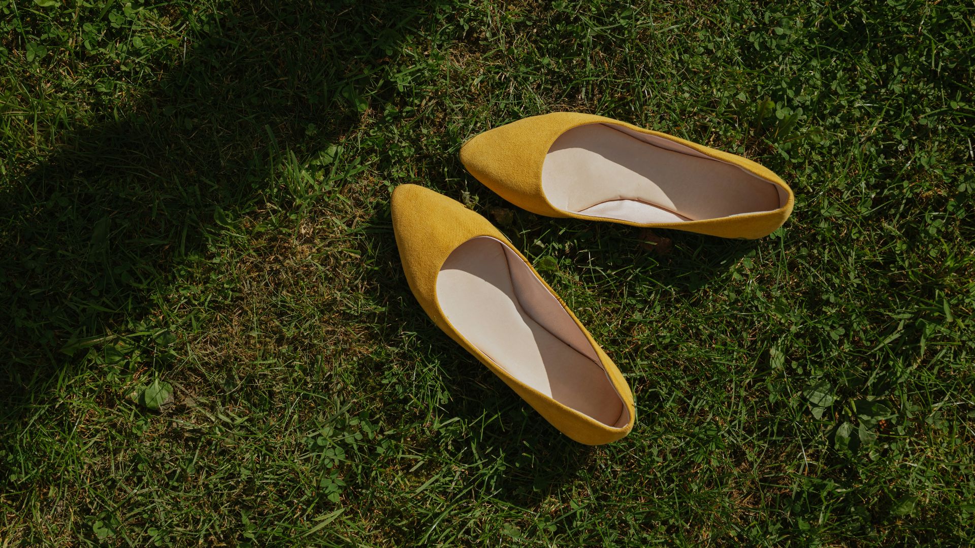 12. Ballerines à bout pointu Amazon Essentials