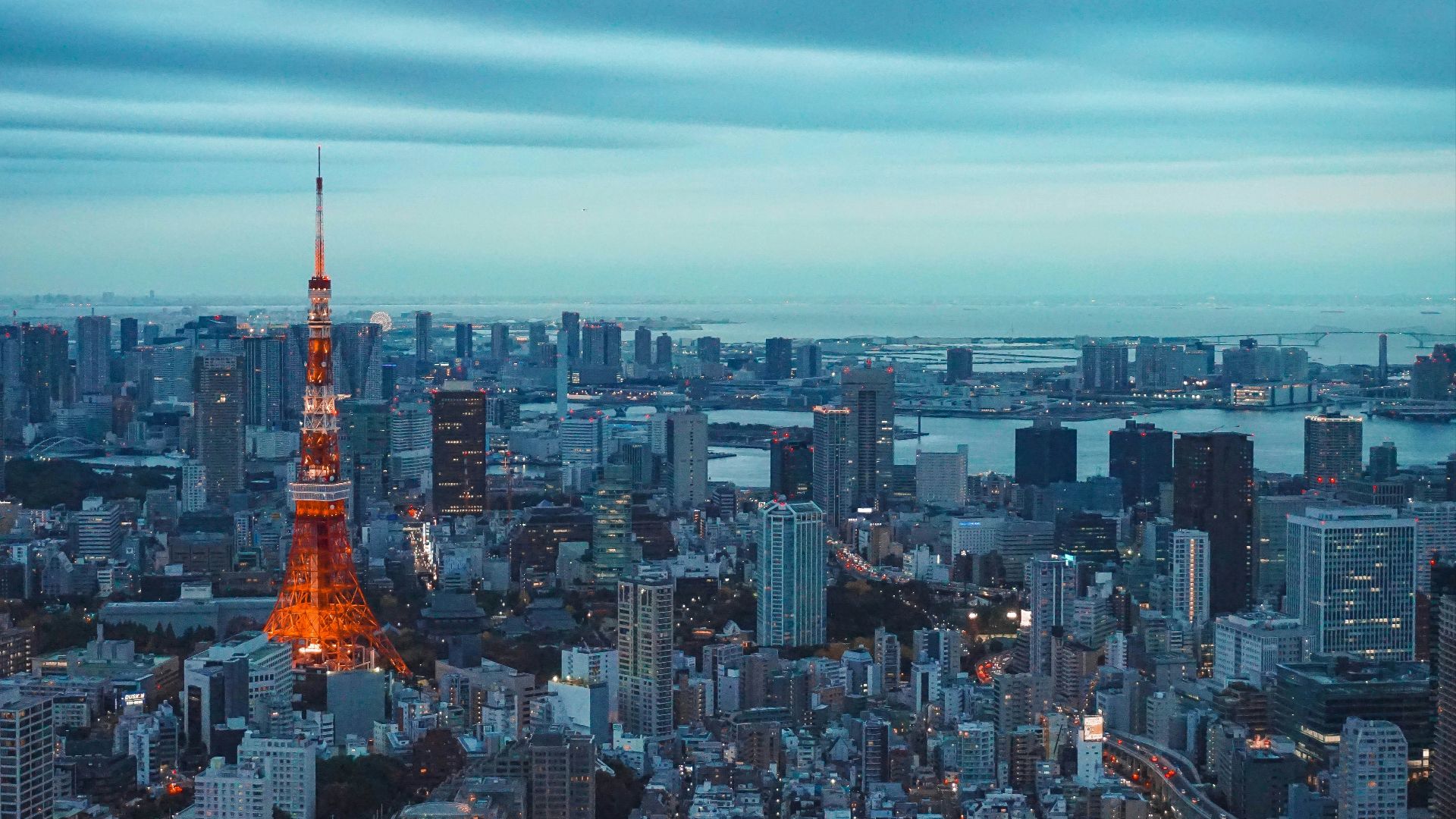 5. Visite guidée du marché de Tsukiji à Tokyo, au Japon