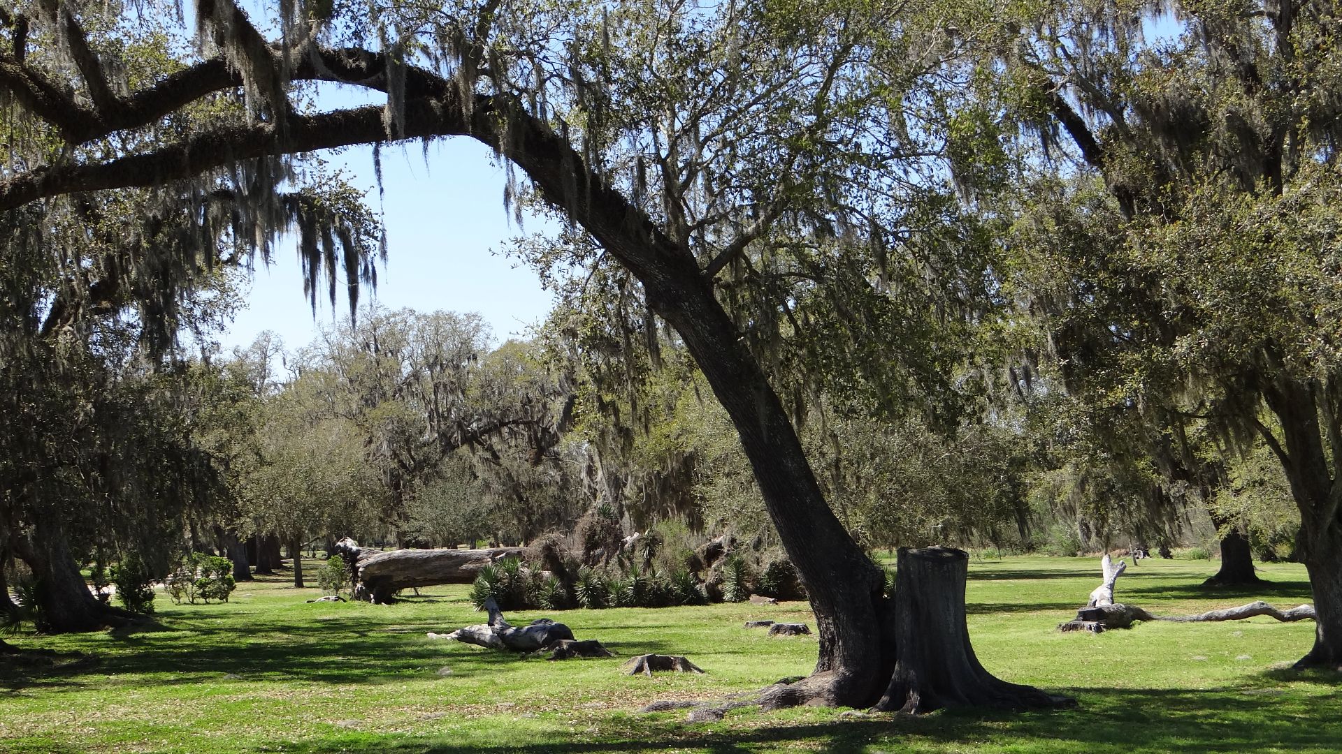 10. Visite de l'usine et du musée TABASCO à Avery Island, en Louisiane