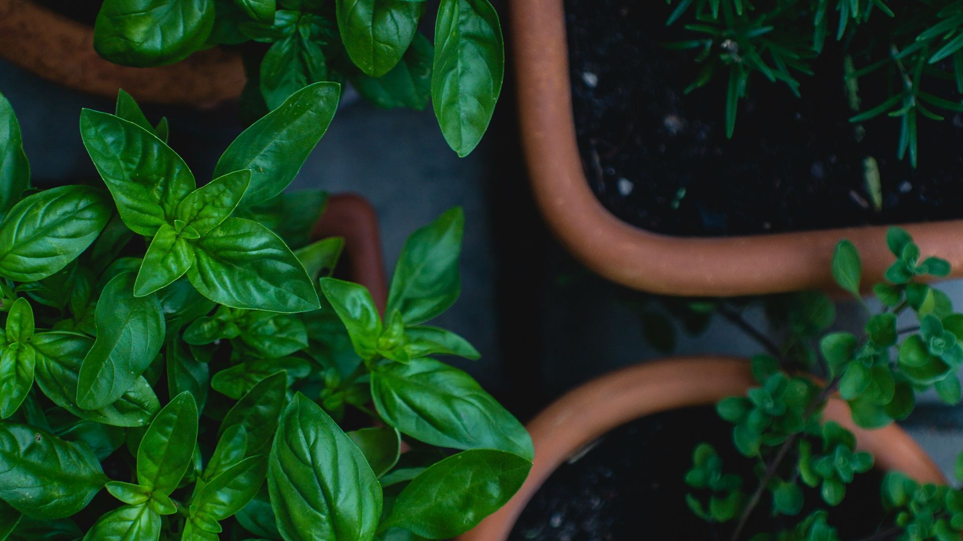 7. Sel → Herbes et épices