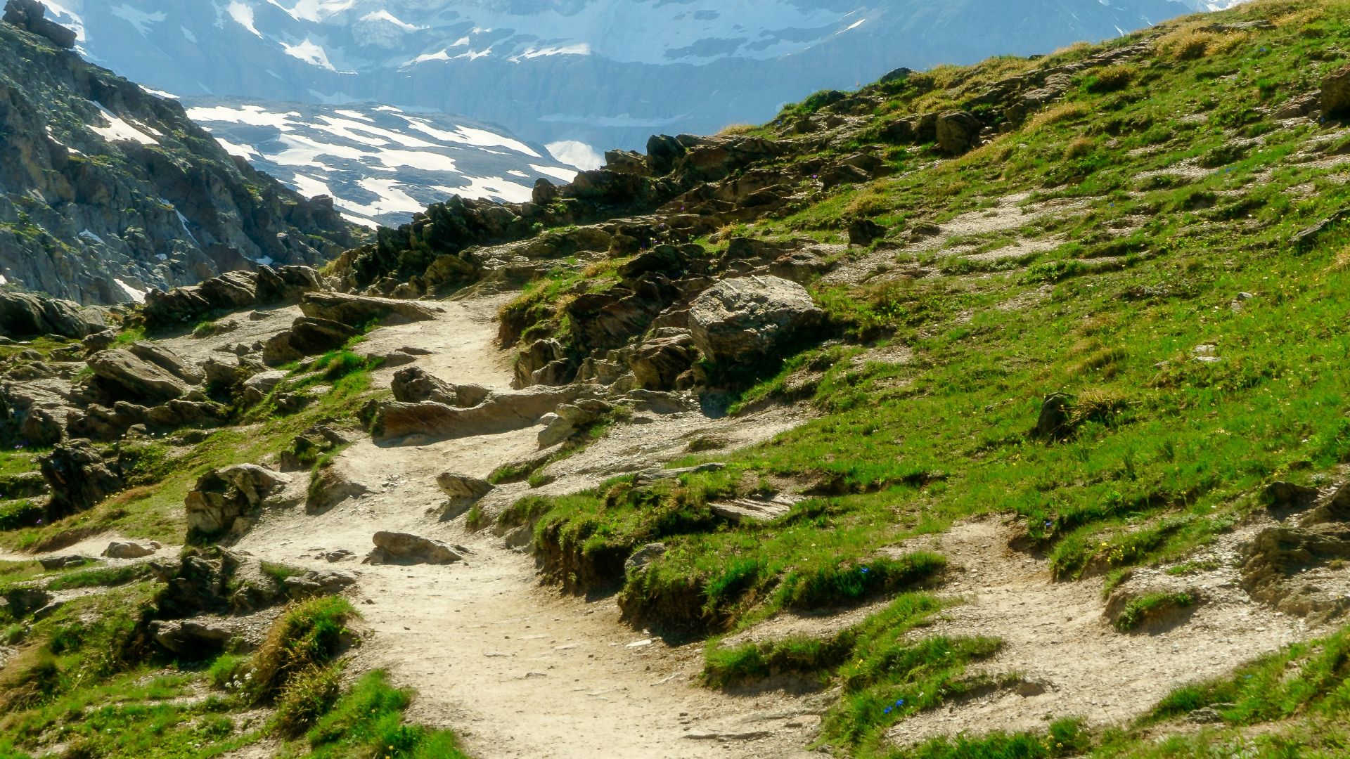 5. L'identité de la femme non identifiée retrouvée sur un sentier de montagne confirmée grâce à une avancée majeure en médecine légale