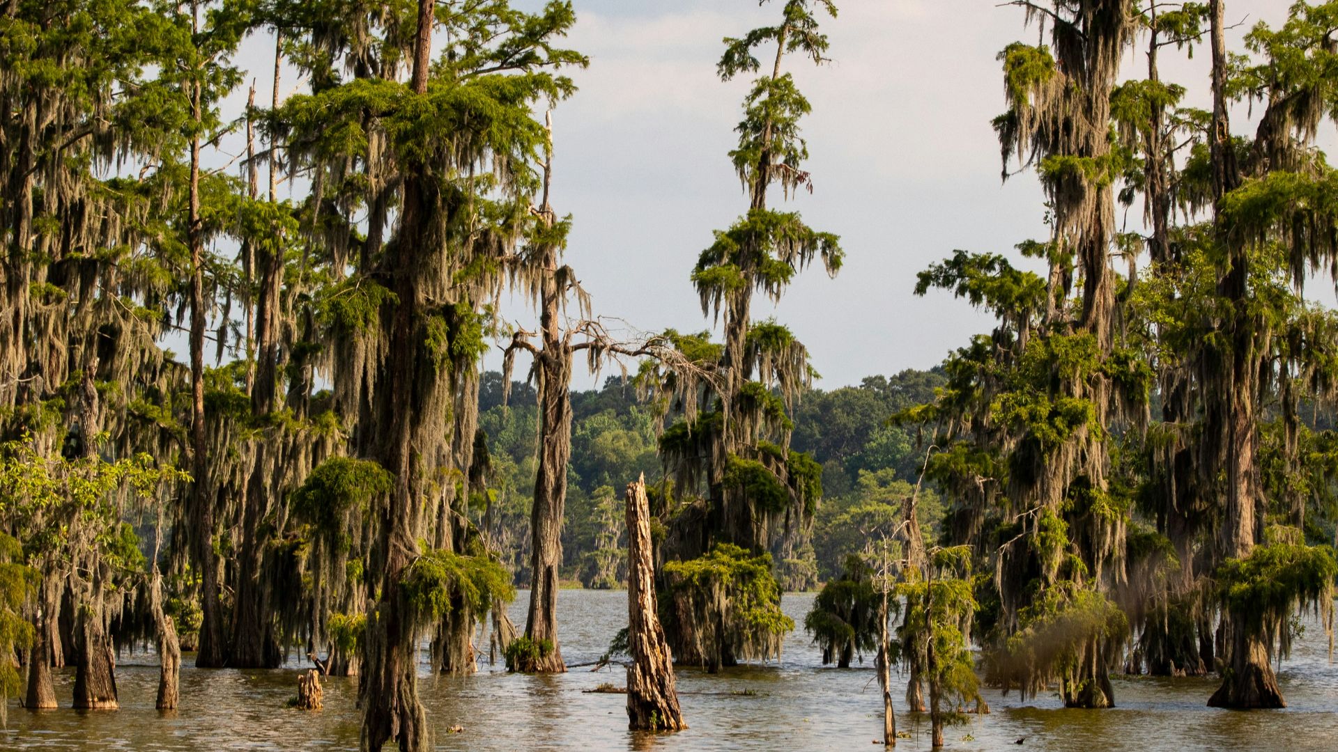 6. Lafayette, en Louisiane