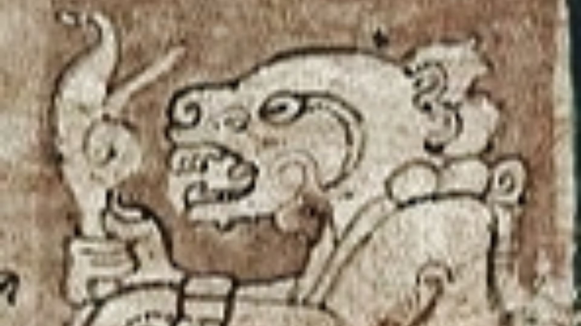18. Le Codex maya de Dresde