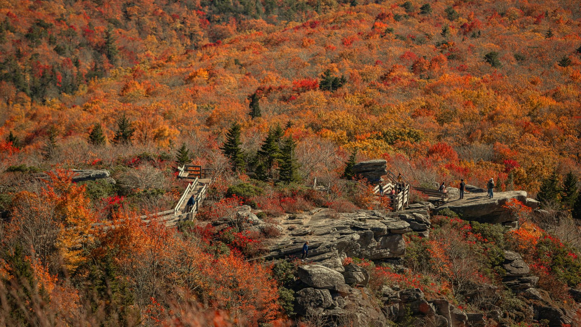 12. Sentiers de la Blue Ridge Parkway, en Caroline du Nord et en Virginie