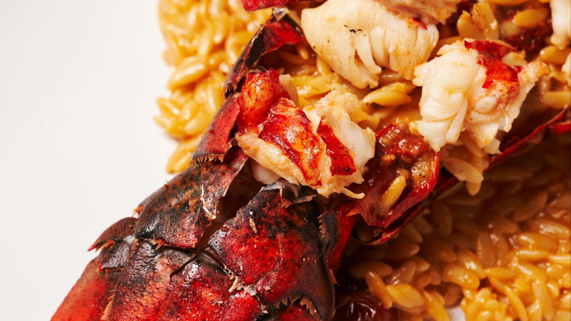 5. Queue de homard
