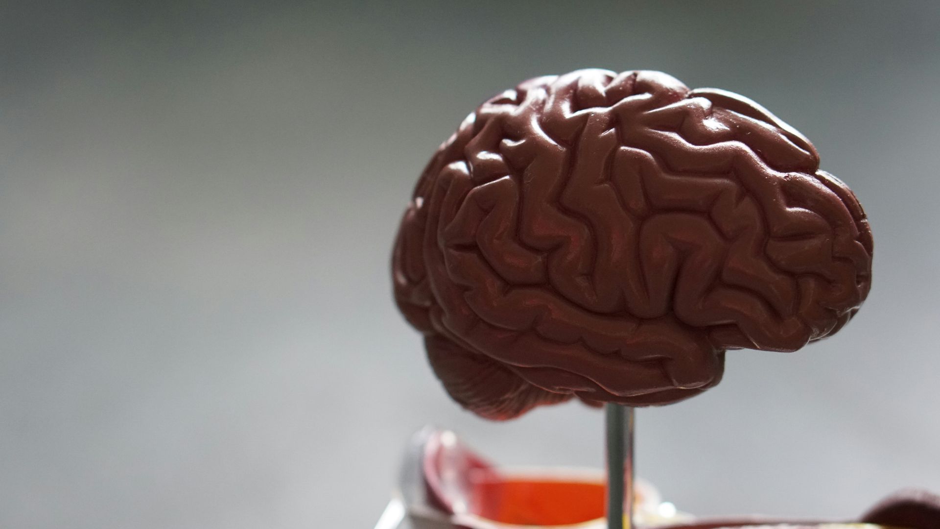 10. Compléments alimentaires pour stimuler le cerveau