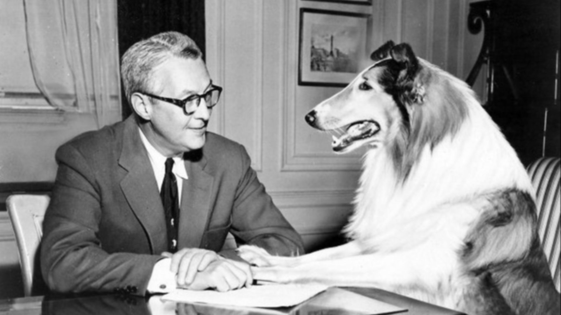 Les 20 chiens les plus célèbres de l’histoire