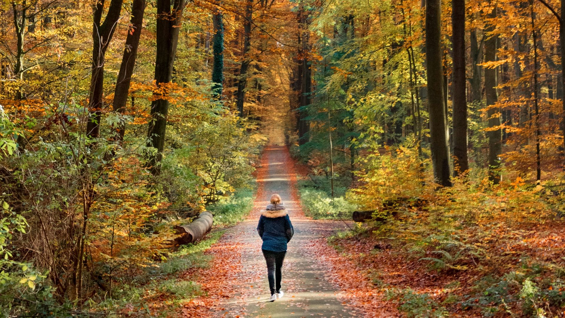 16. Se promener à la lumière du jour